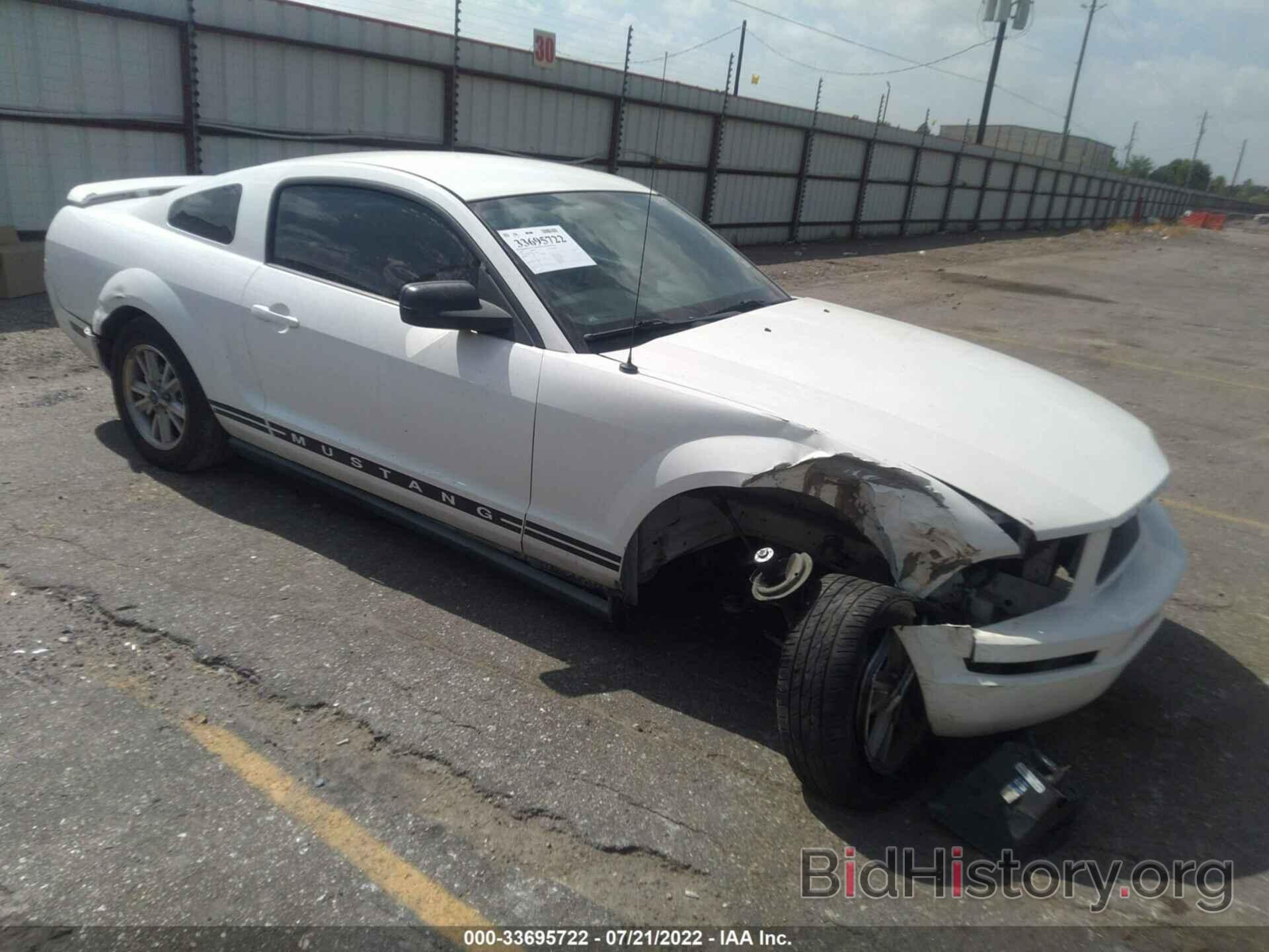 Photo 1ZVFT80N465177395 - FORD MUSTANG 2006