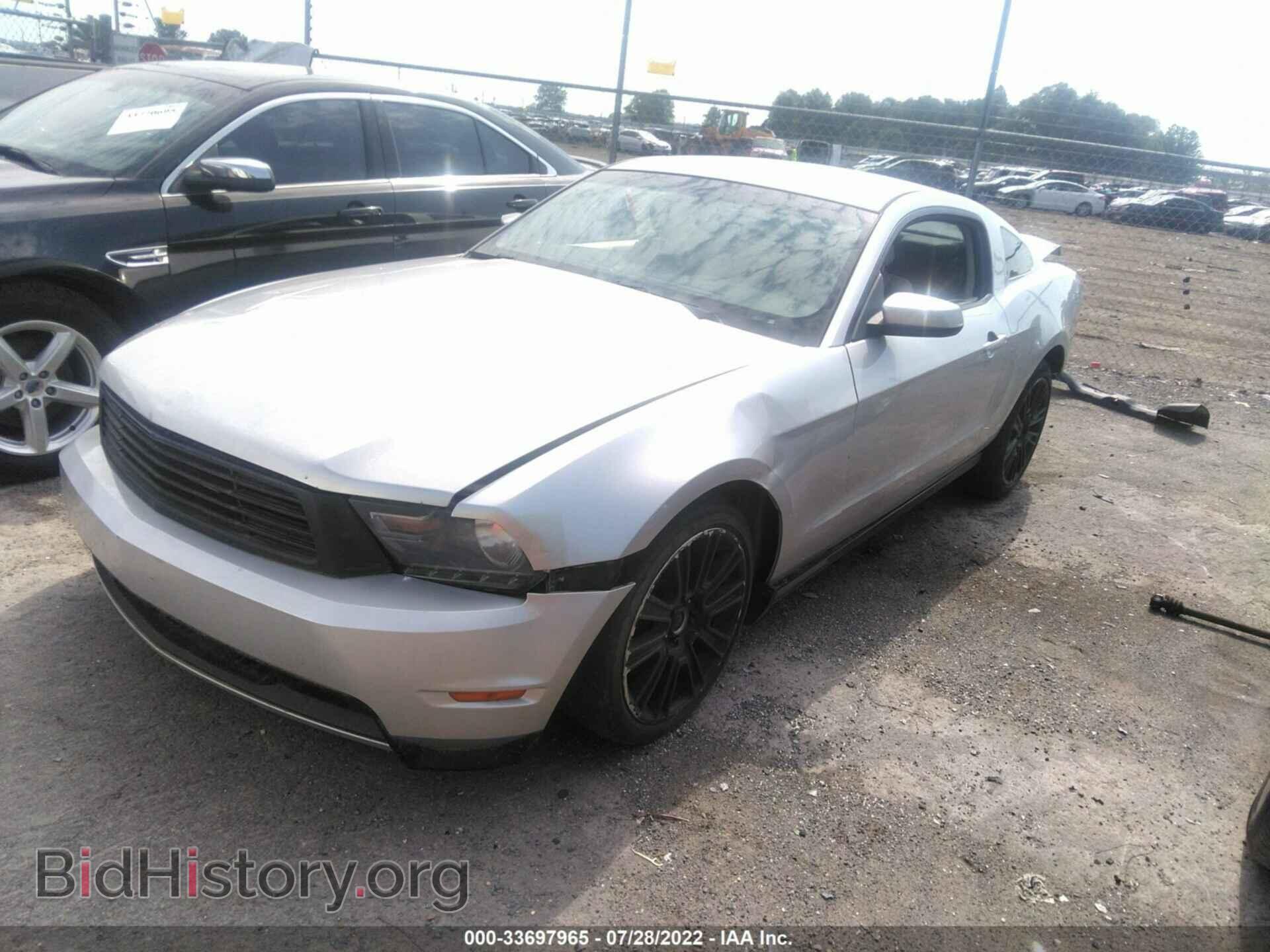 2011 FORD MUSTANG - VIN: 1ZVBP8CF8B5136379 - Фото 2