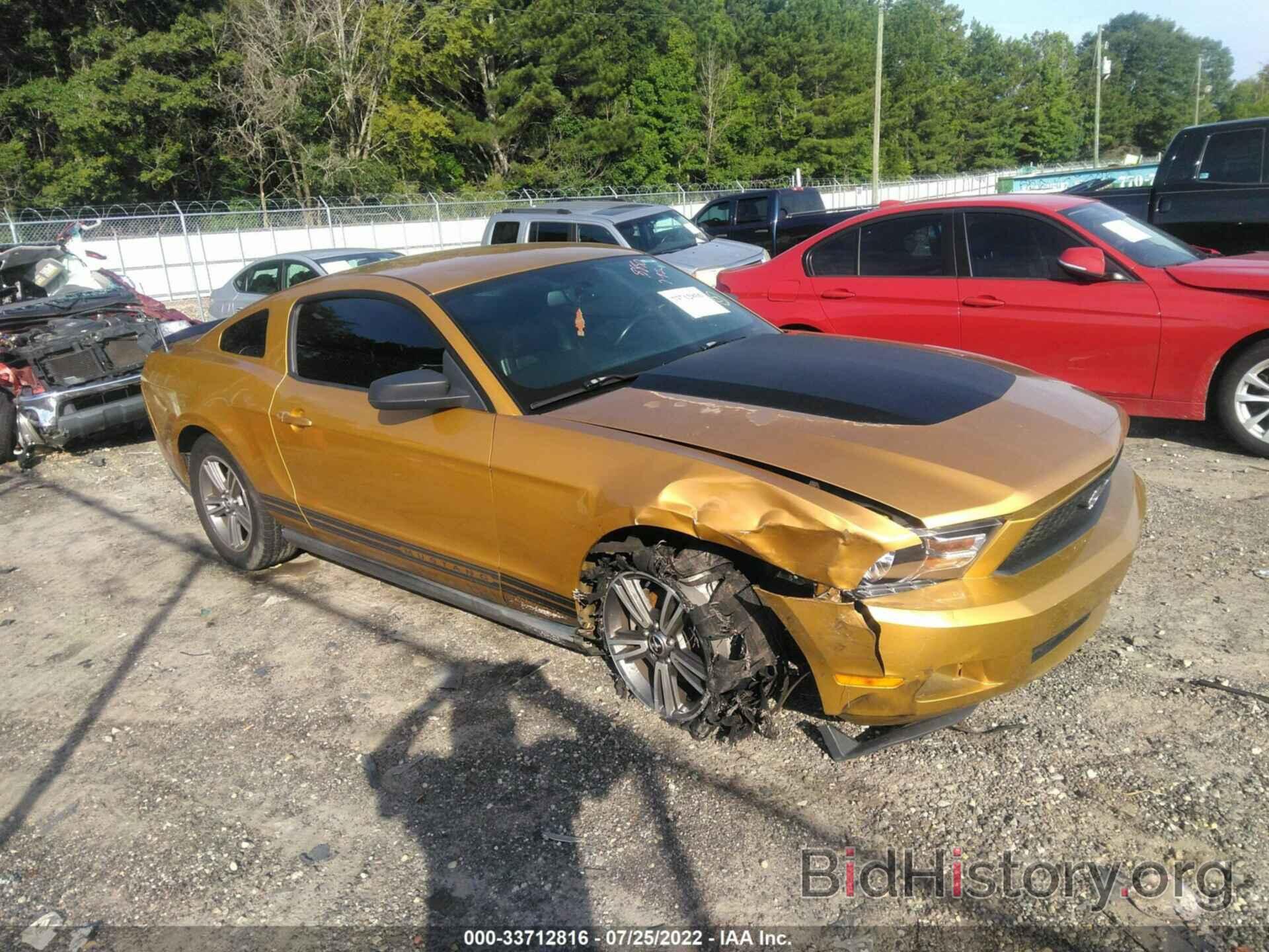 Photo 1ZVBP8AN6A5108850 - FORD MUSTANG 2010