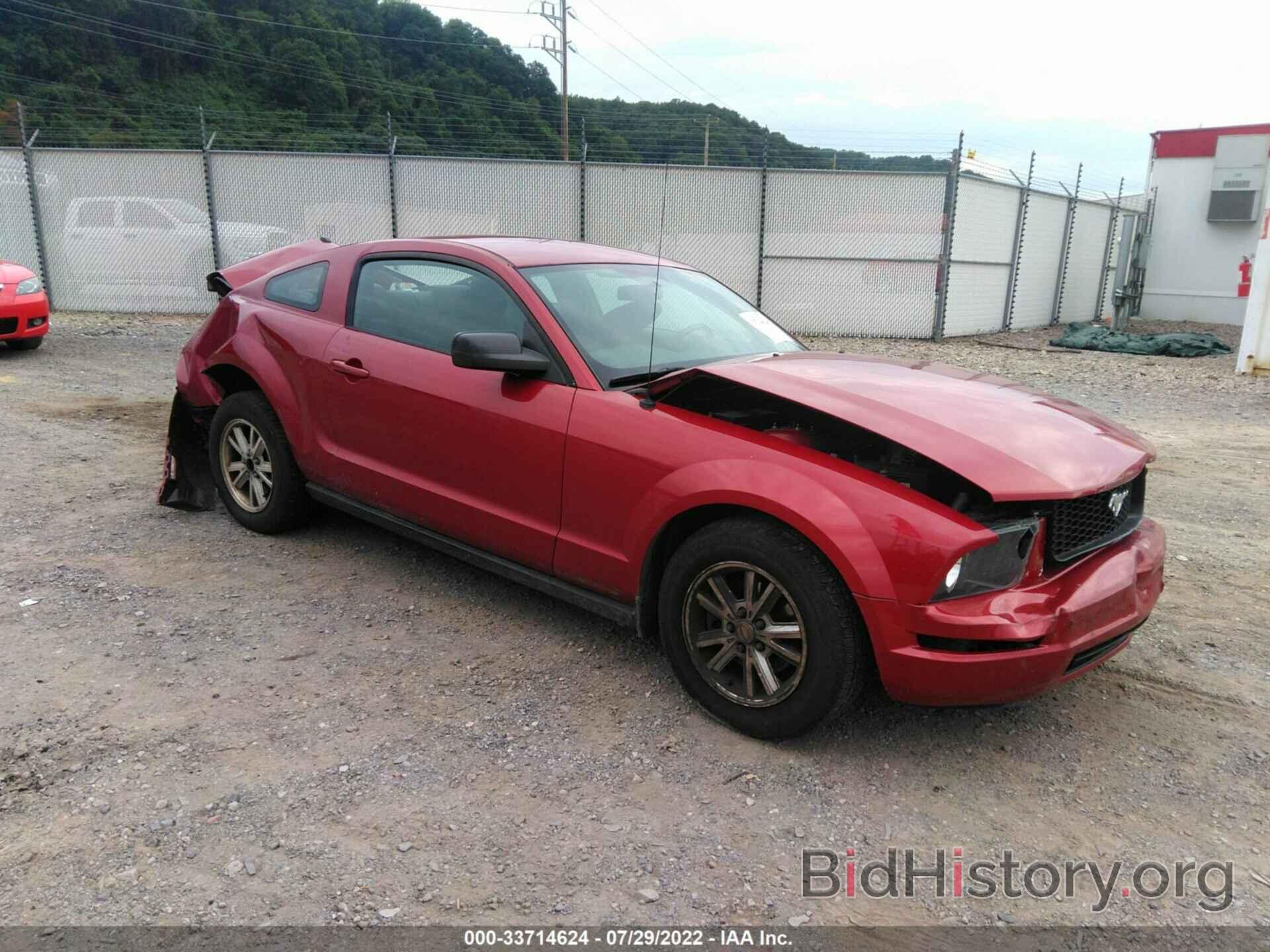 Photo 1ZVHT80NX85134983 - FORD MUSTANG 2008