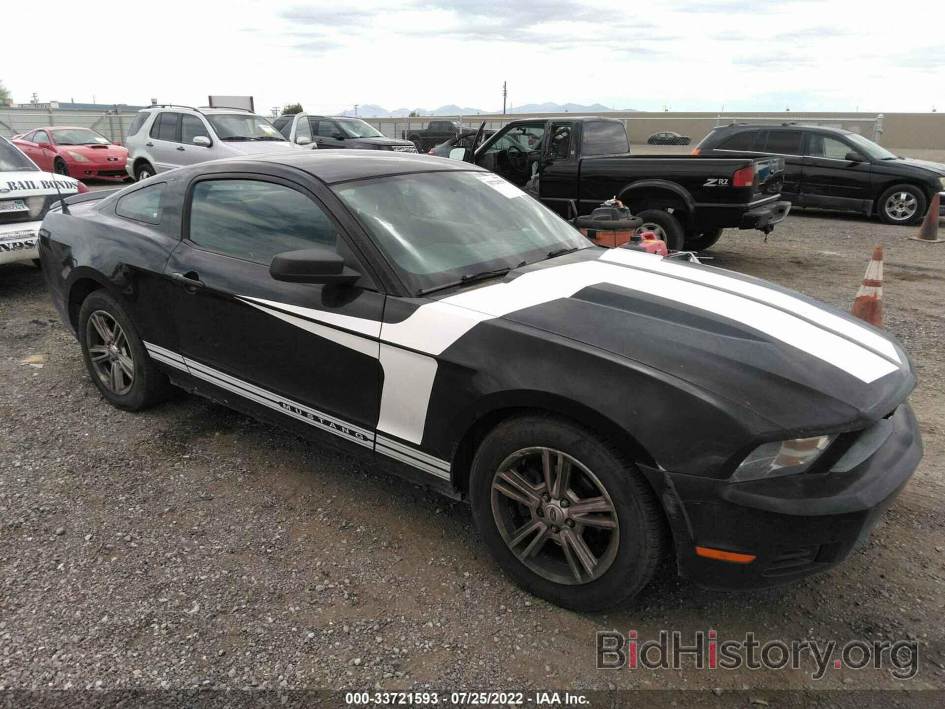 Photo 1ZVBP8AN7A5177224 - FORD MUSTANG 2010