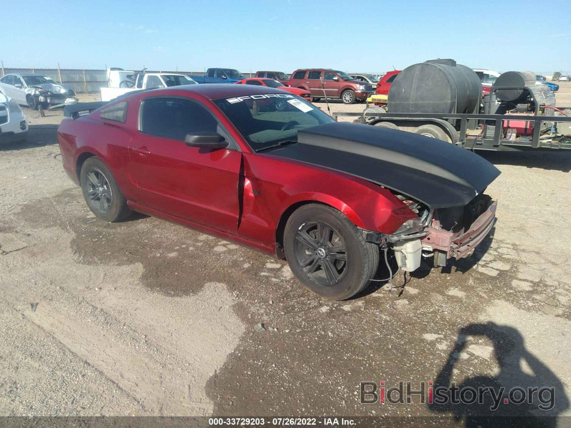 Photo 1ZVBP8AM5E5268246 - FORD MUSTANG 2014