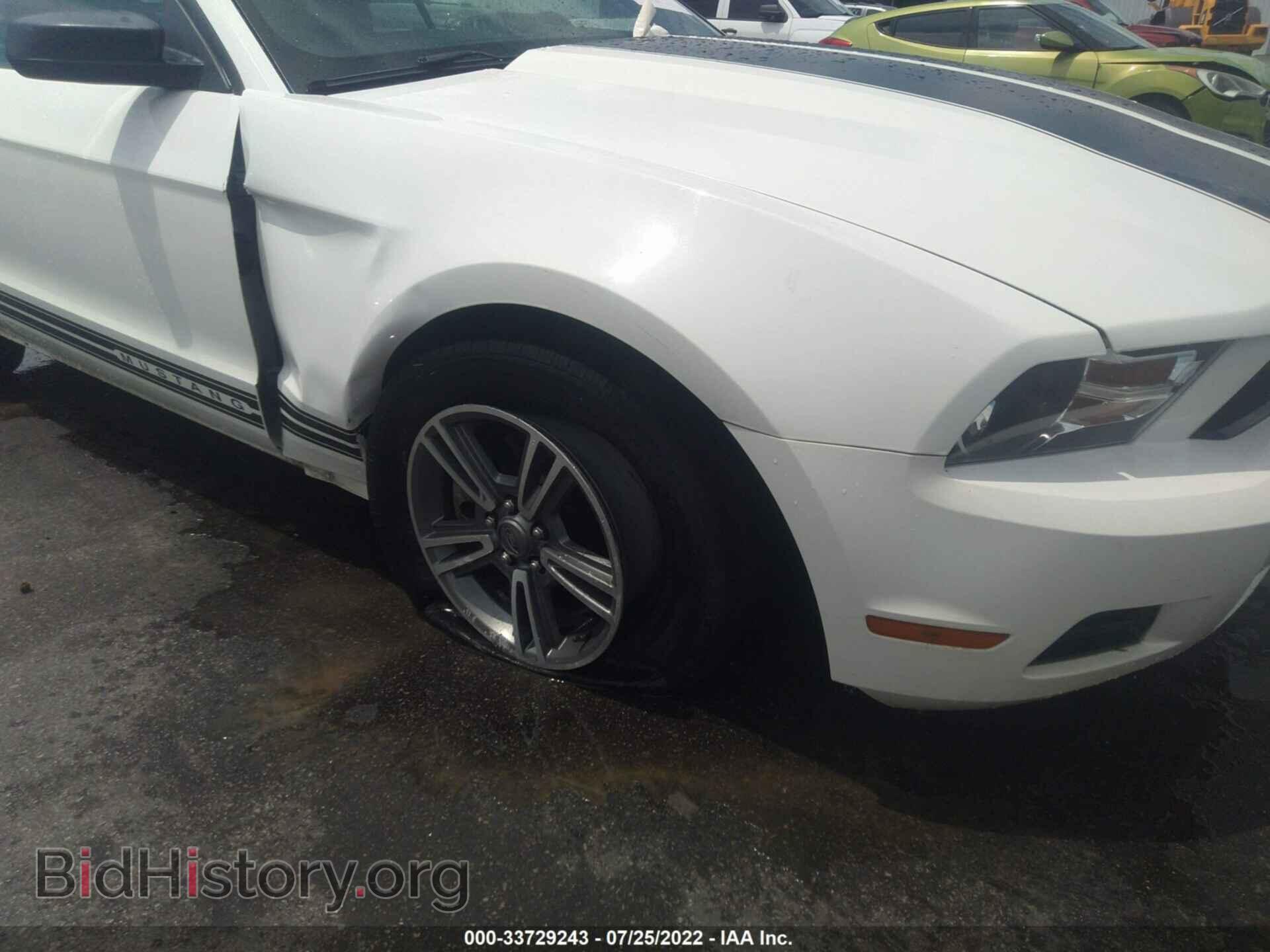 2012 FORD MUSTANG - VIN: 1ZVBP8EM5C5279562 - Фото 6