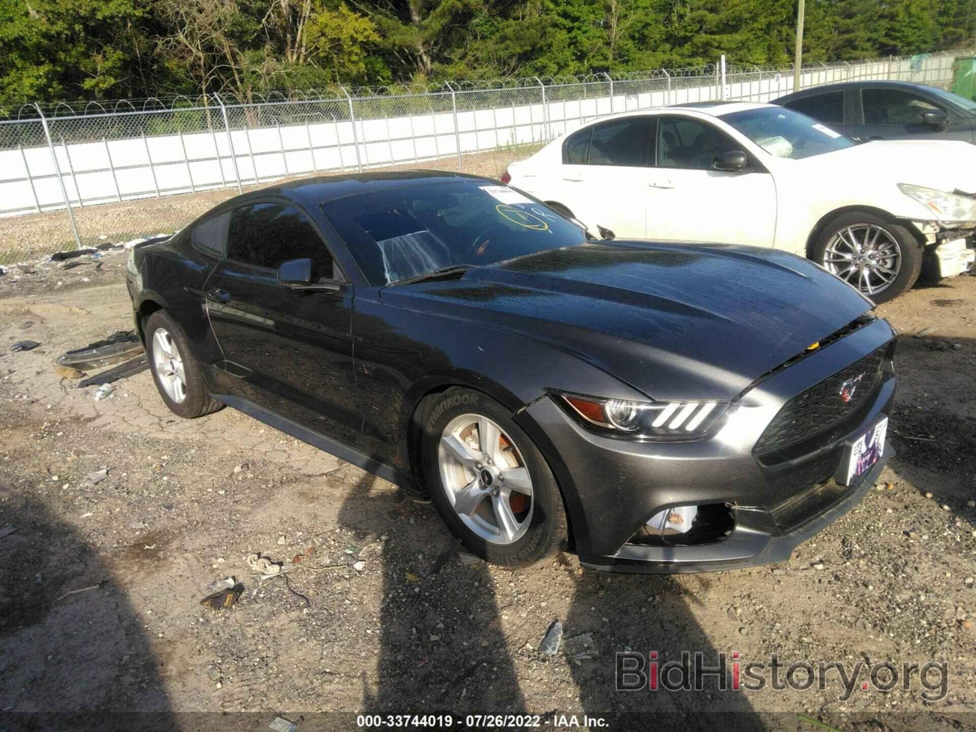 Photo 1FA6P8AM7H5335072 - FORD MUSTANG 2017