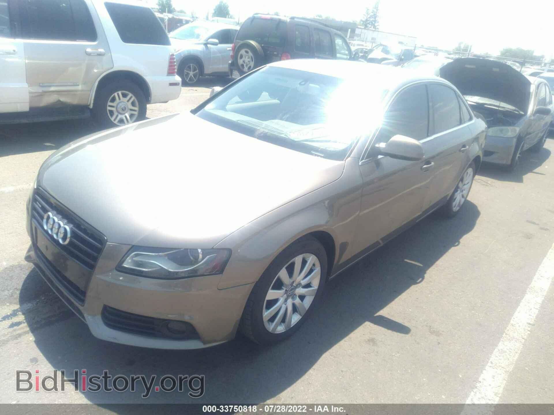2010 AUDI A4 - VIN: WAUFFAFL6AN008976 - Фото 2