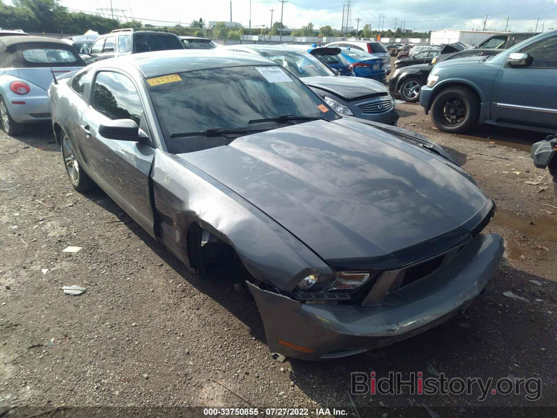 Photo 1ZVBP8AN4A5162972 - FORD MUSTANG 2010