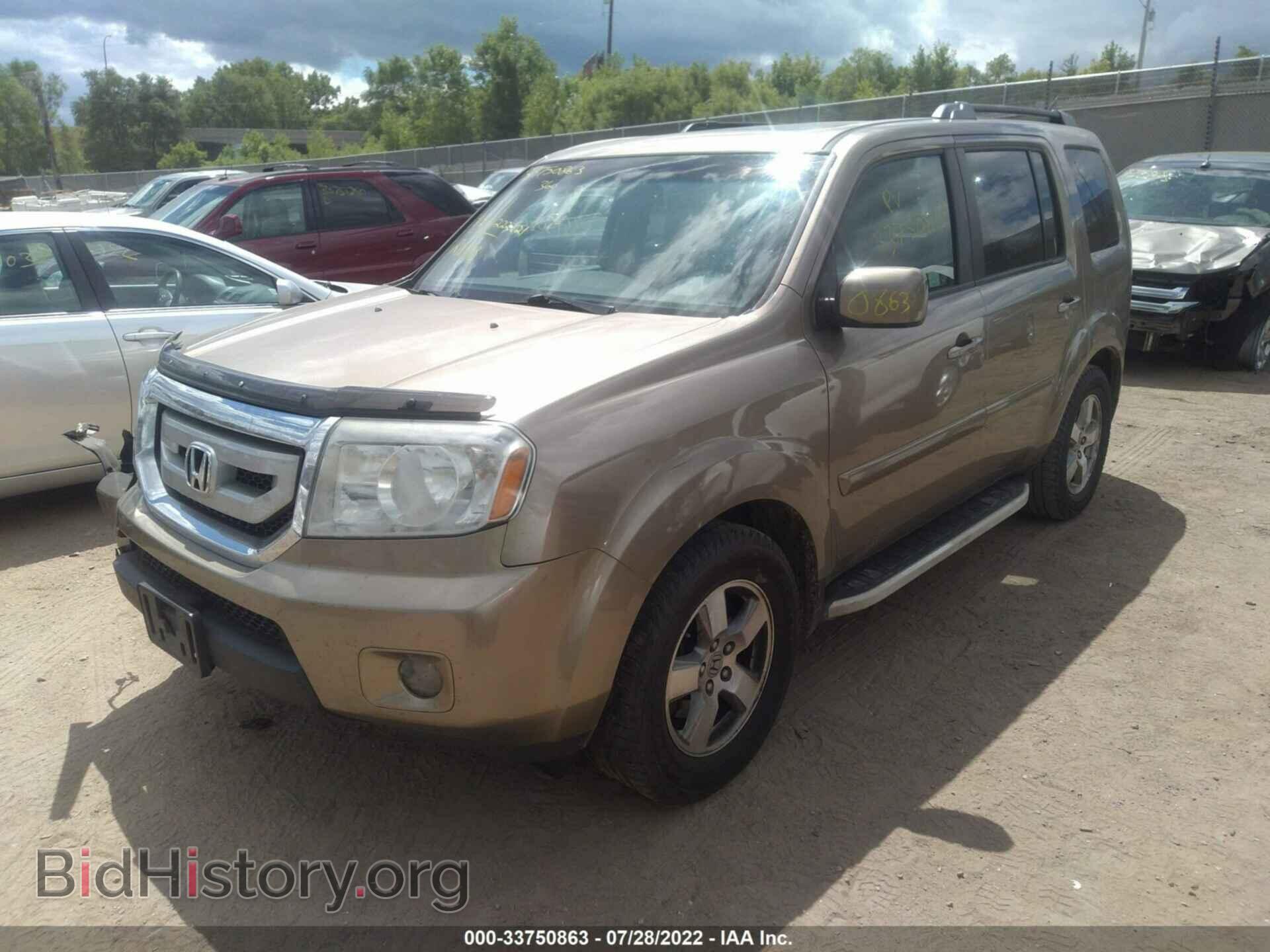 2009 HONDA PILOT - VIN: 5FNYF48519B048128 - Фото 2