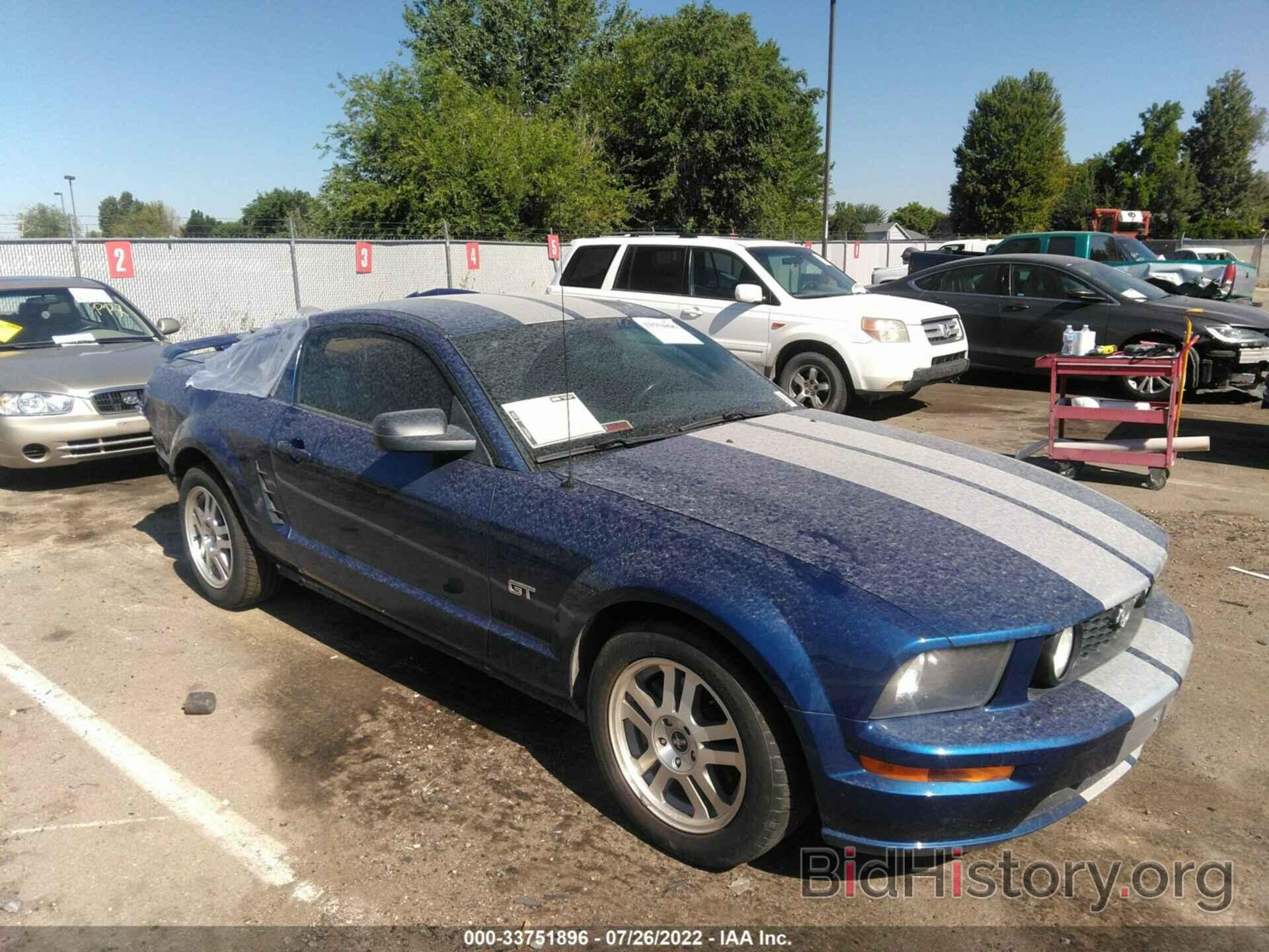 Photo 1ZVHT82H565237782 - FORD MUSTANG 2006