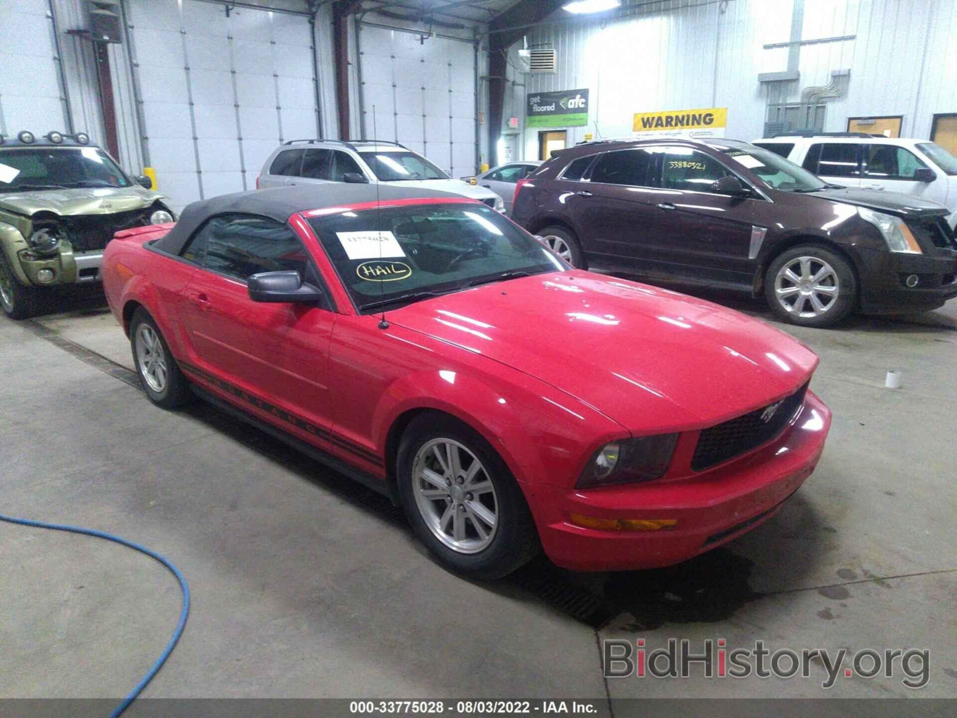 Photo 1ZVFT84N075297822 - FORD MUSTANG 2007