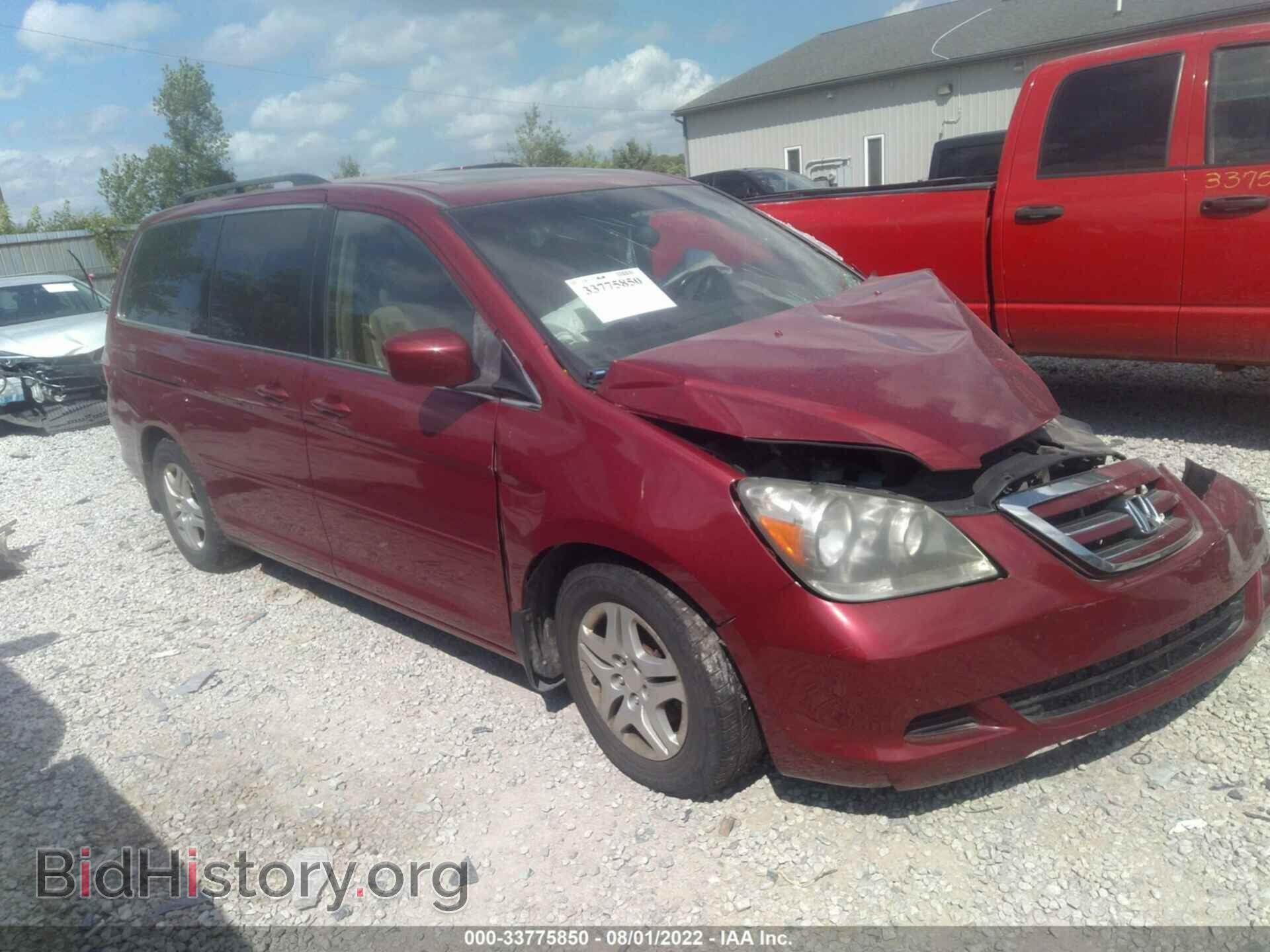 Фотография 5FNRL38706B010278 - HONDA ODYSSEY 2006