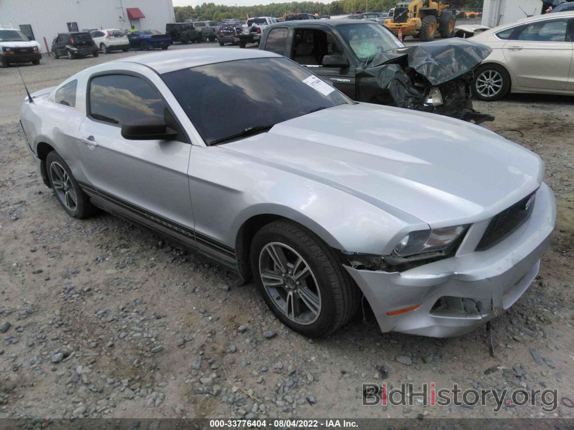 Photo 1ZVBP8AN0A5169711 - FORD MUSTANG 2010
