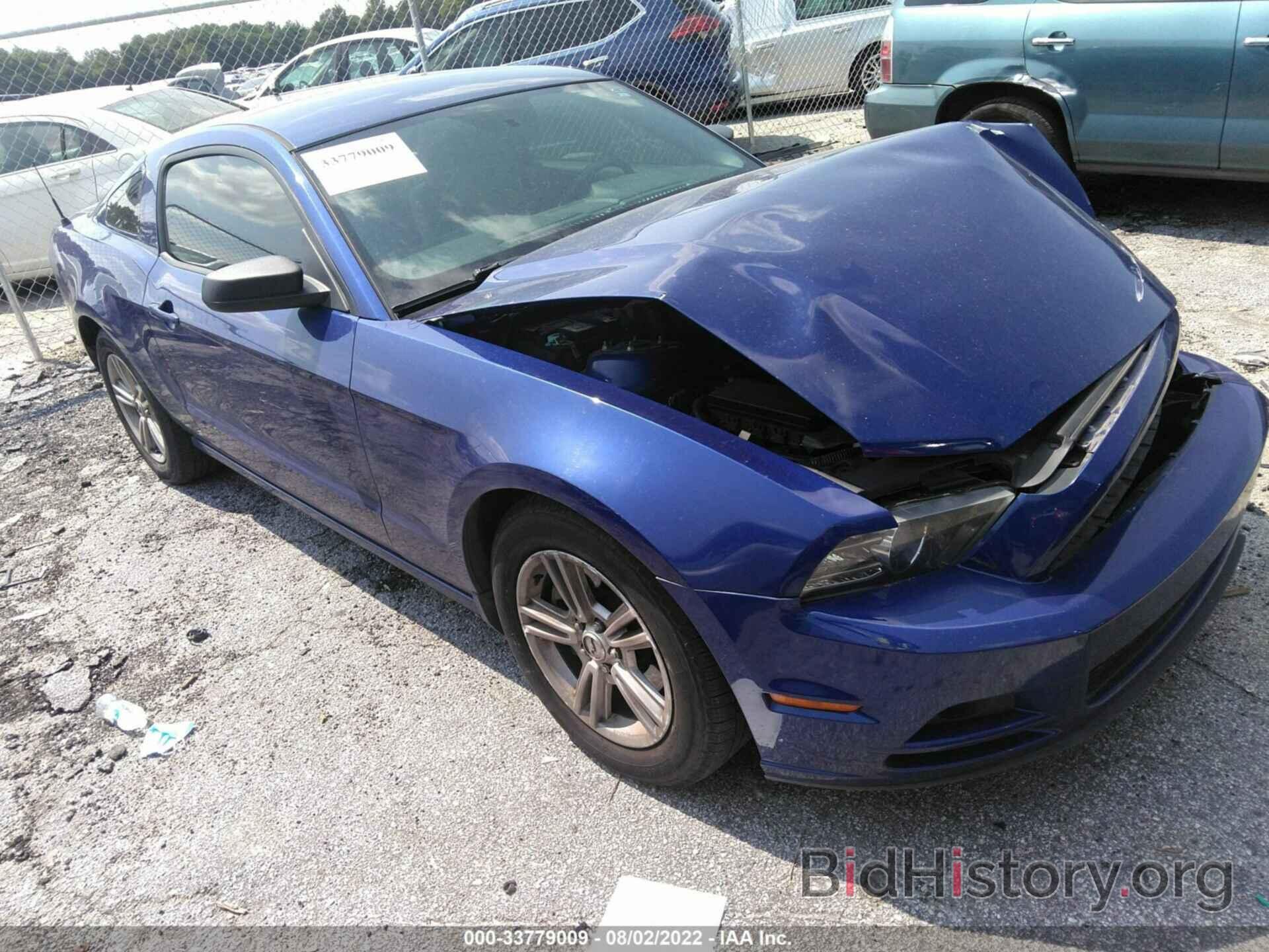Photo 1ZVBP8AM7D5281384 - FORD MUSTANG 2013