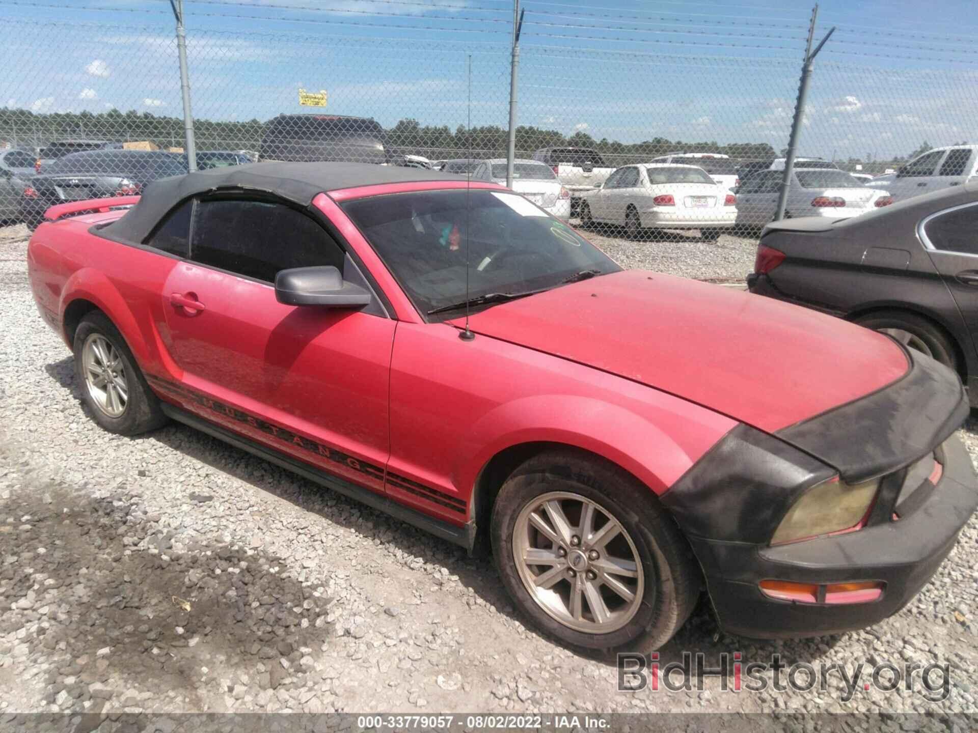 Photo 1ZVFT84N865138805 - FORD MUSTANG 2006