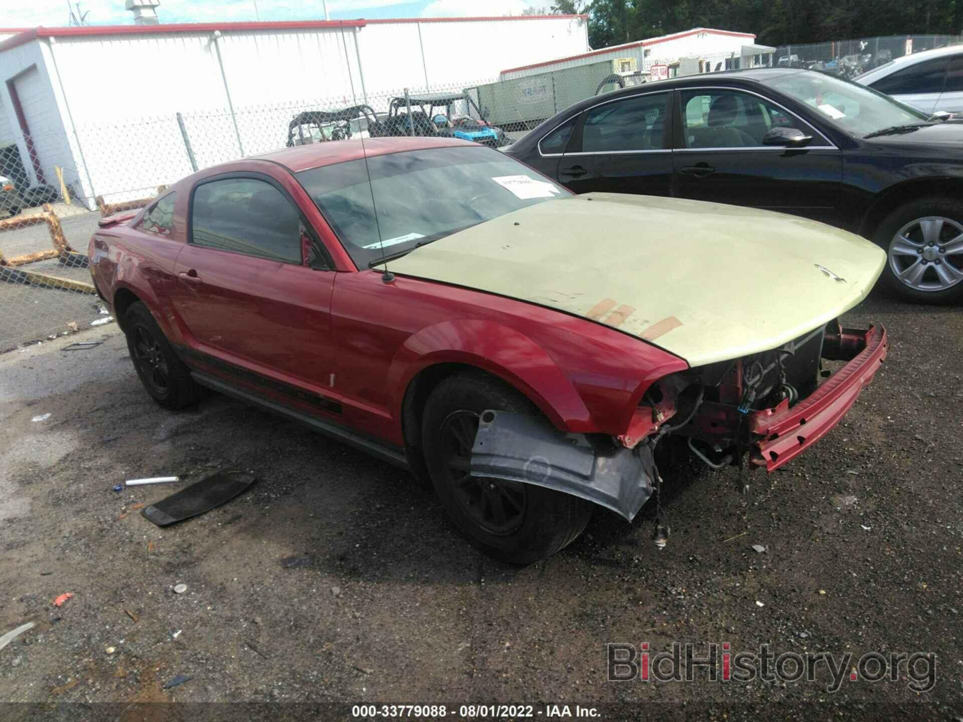 Photo 1ZVHT80NX85110750 - FORD MUSTANG 2008
