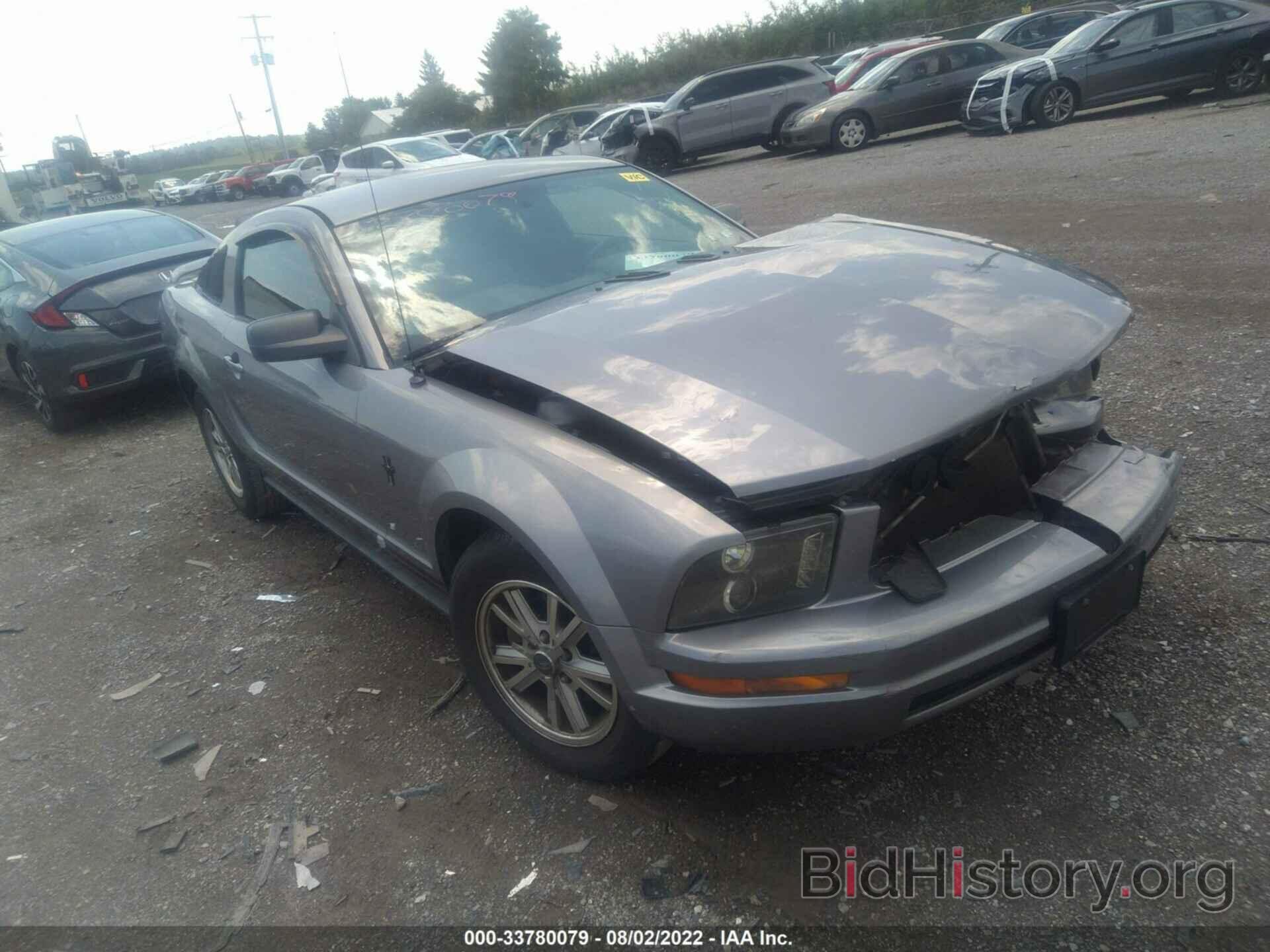 Photo 1ZVFT80NX65219889 - FORD MUSTANG 2006