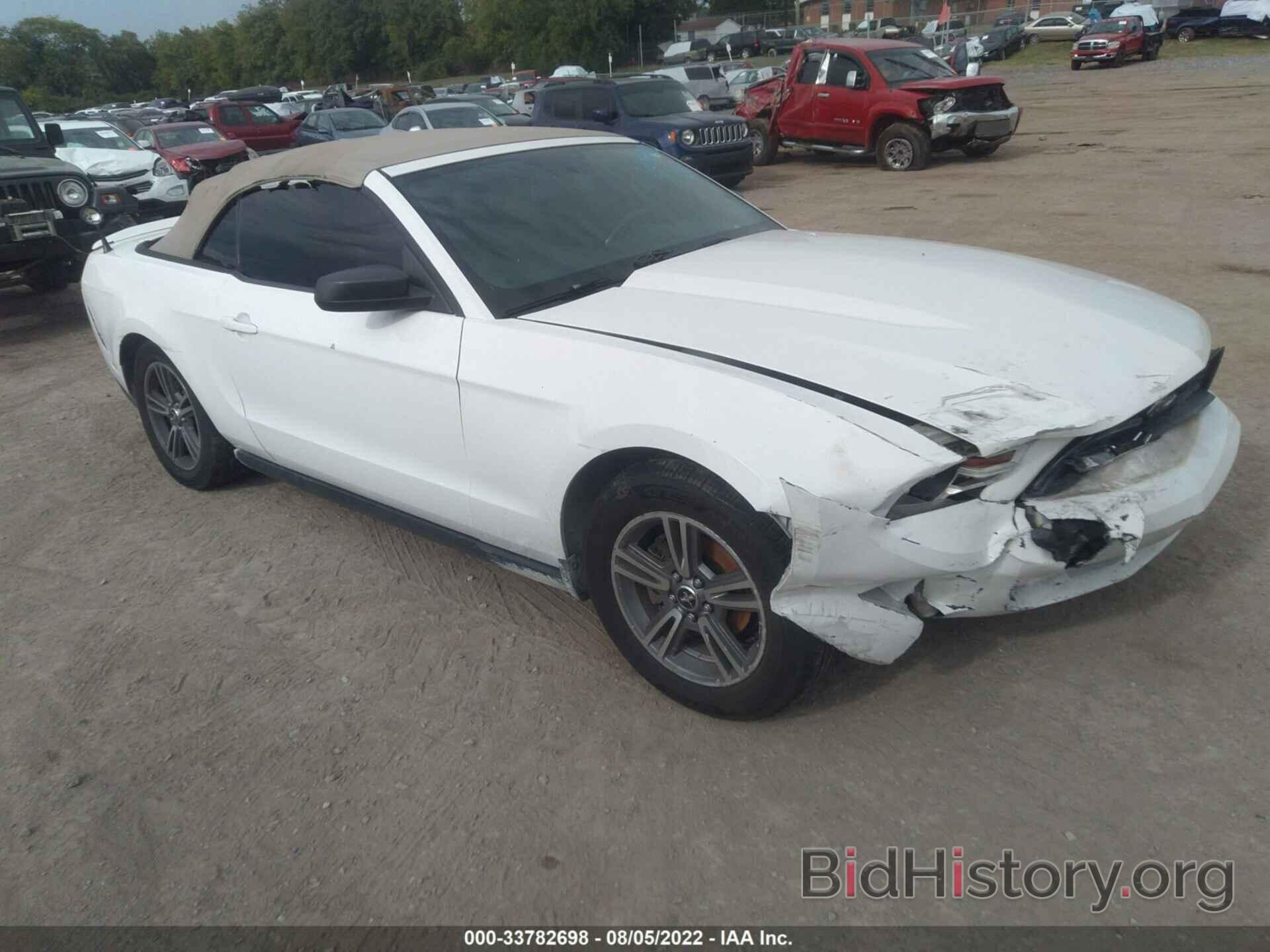 Photo 1ZVBP8EN1A5170537 - FORD MUSTANG 2010