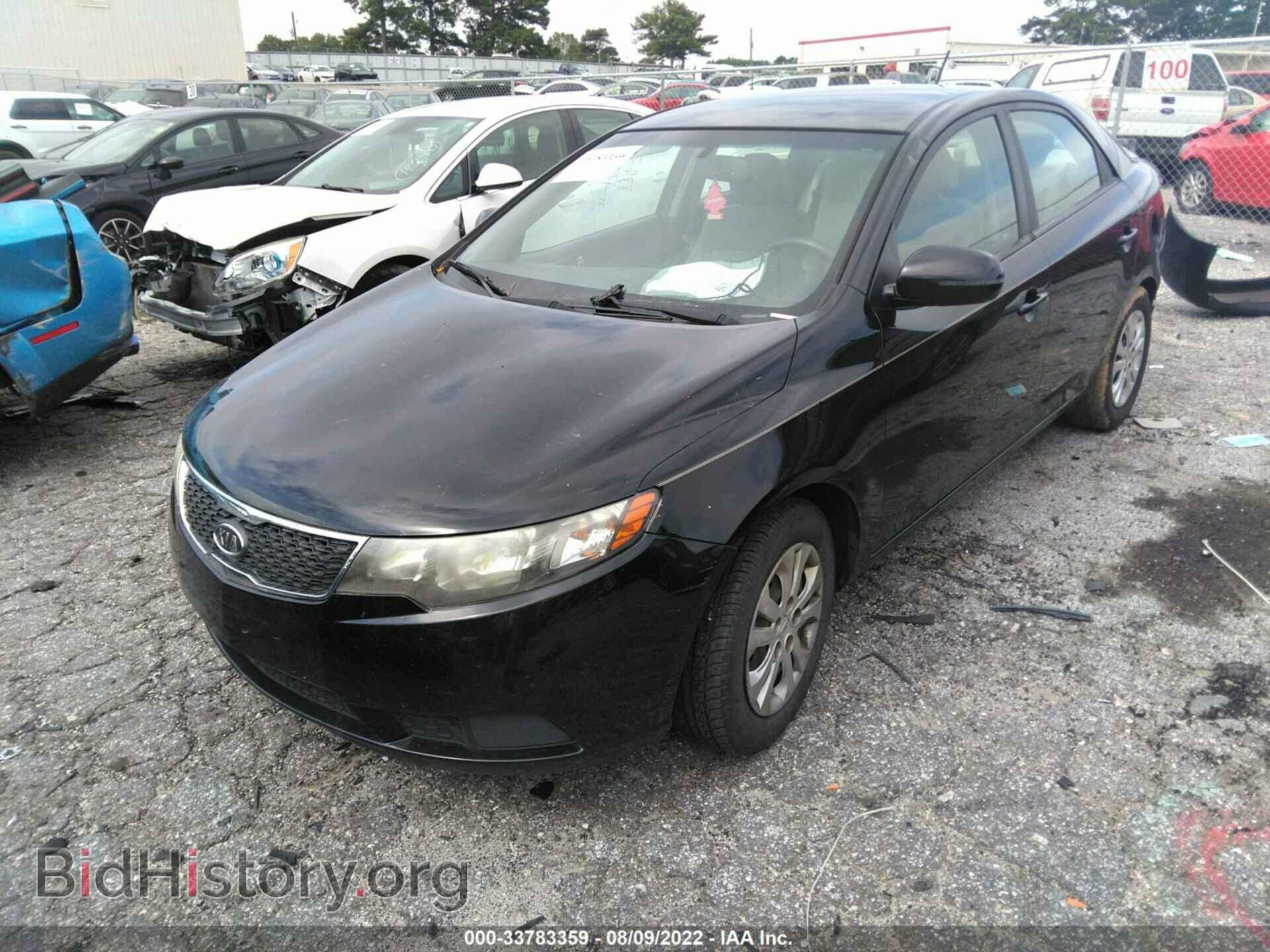 2013 KIA FORTE - VIN: KNAFU4A25D5672096 - Фото 2