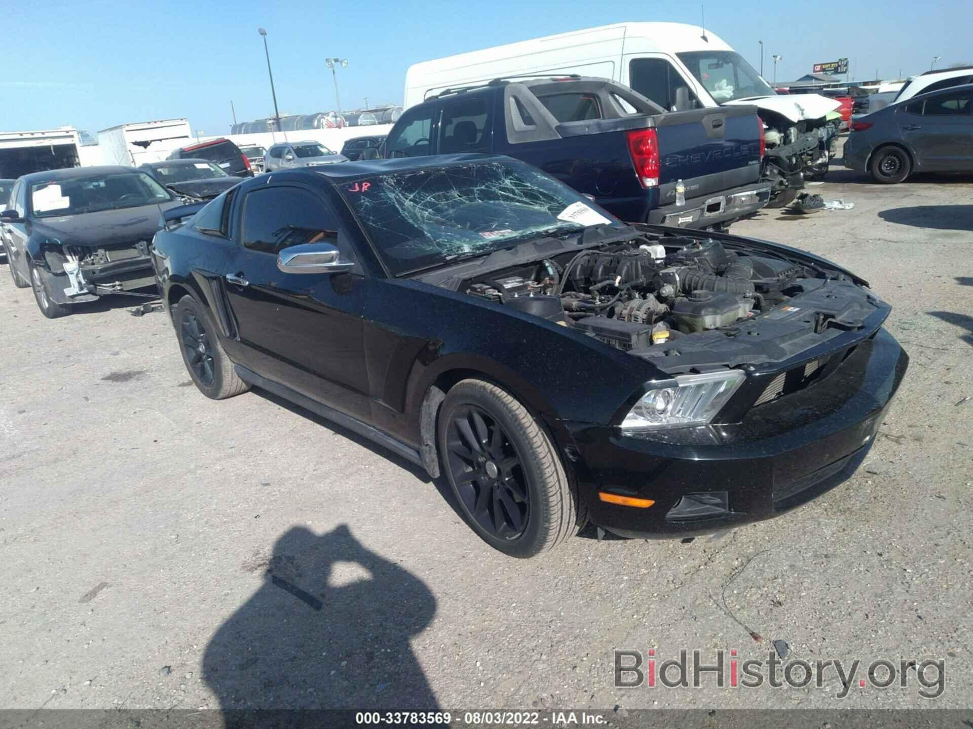 Photo 1ZVBP8AN3A5144835 - FORD MUSTANG 2010