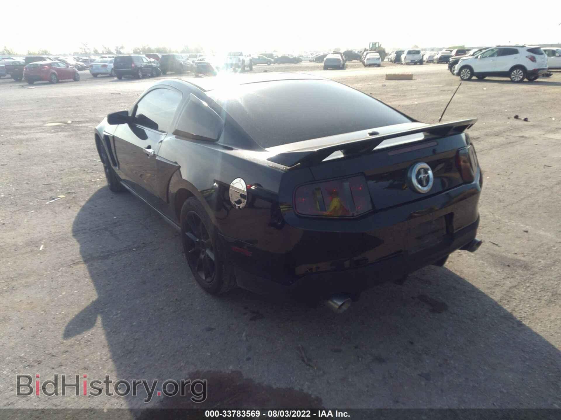 2010 FORD MUSTANG - VIN: 1ZVBP8AN3A5144835 - Фото 3