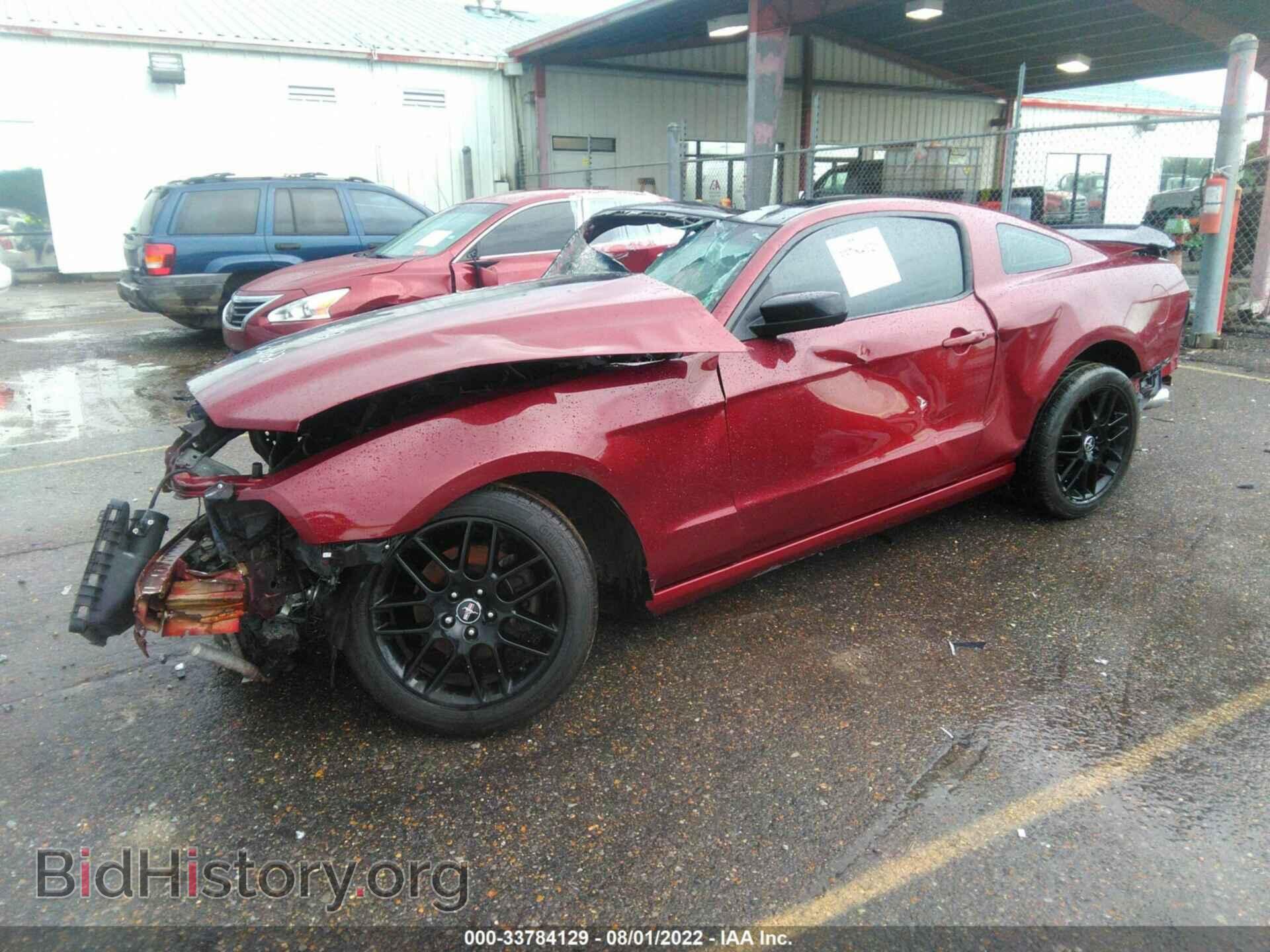 2014 FORD MUSTANG - VIN: 1ZVBP8AM3E5254149 - Фото 2