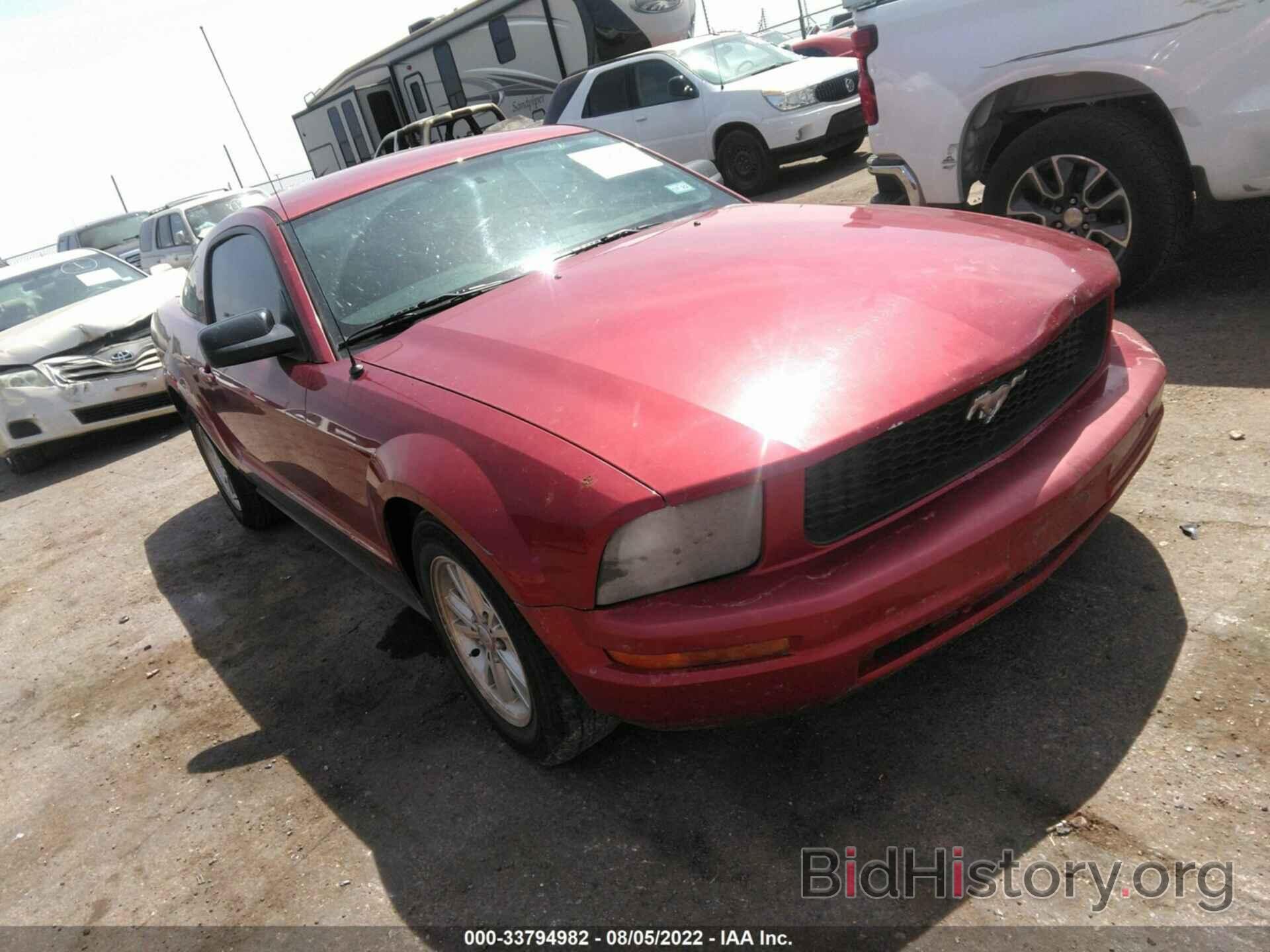 Photo 1ZVFT80N375334643 - FORD MUSTANG 2007