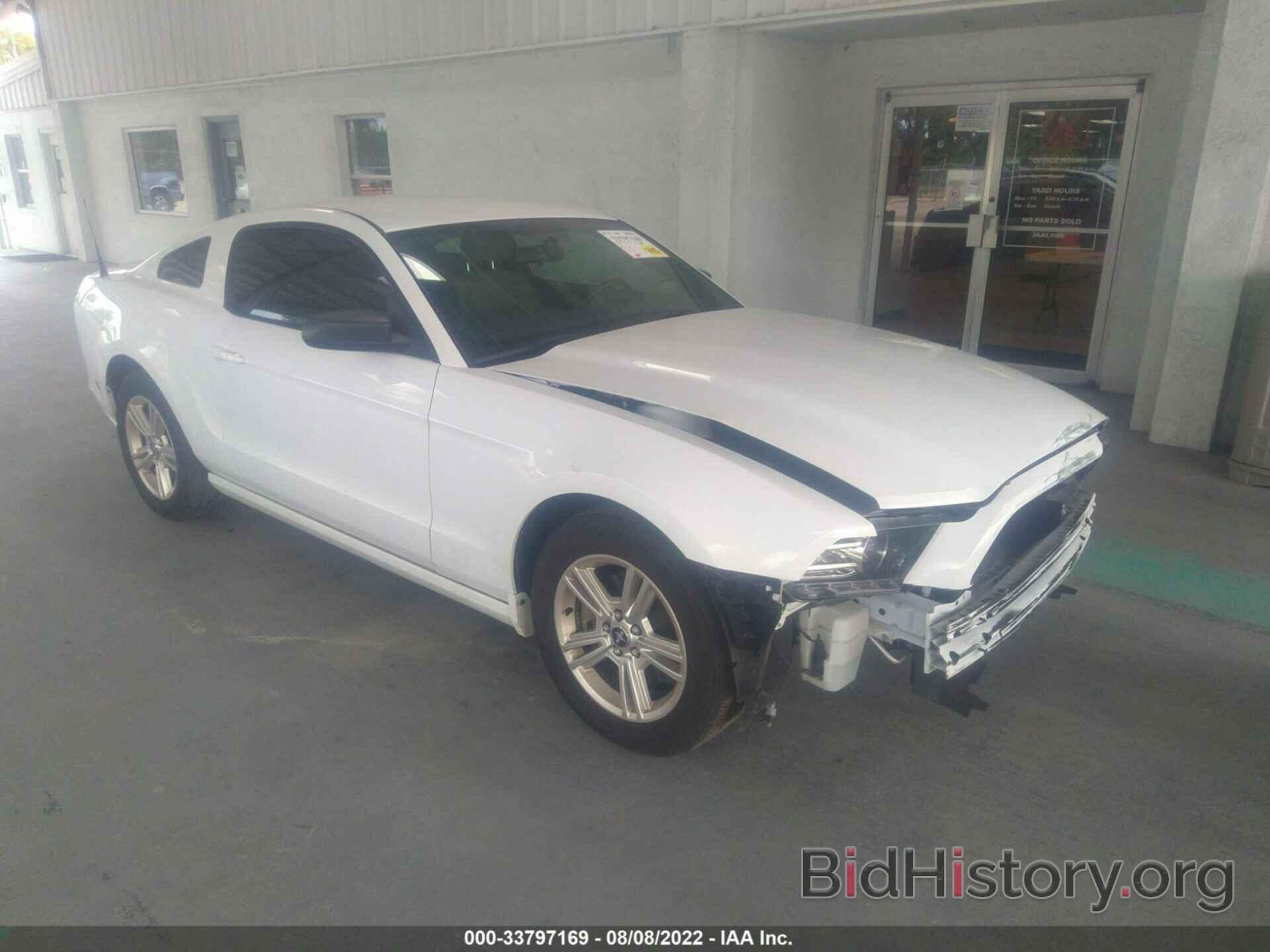 Photo 1ZVBP8AM5E5309992 - FORD MUSTANG 2014