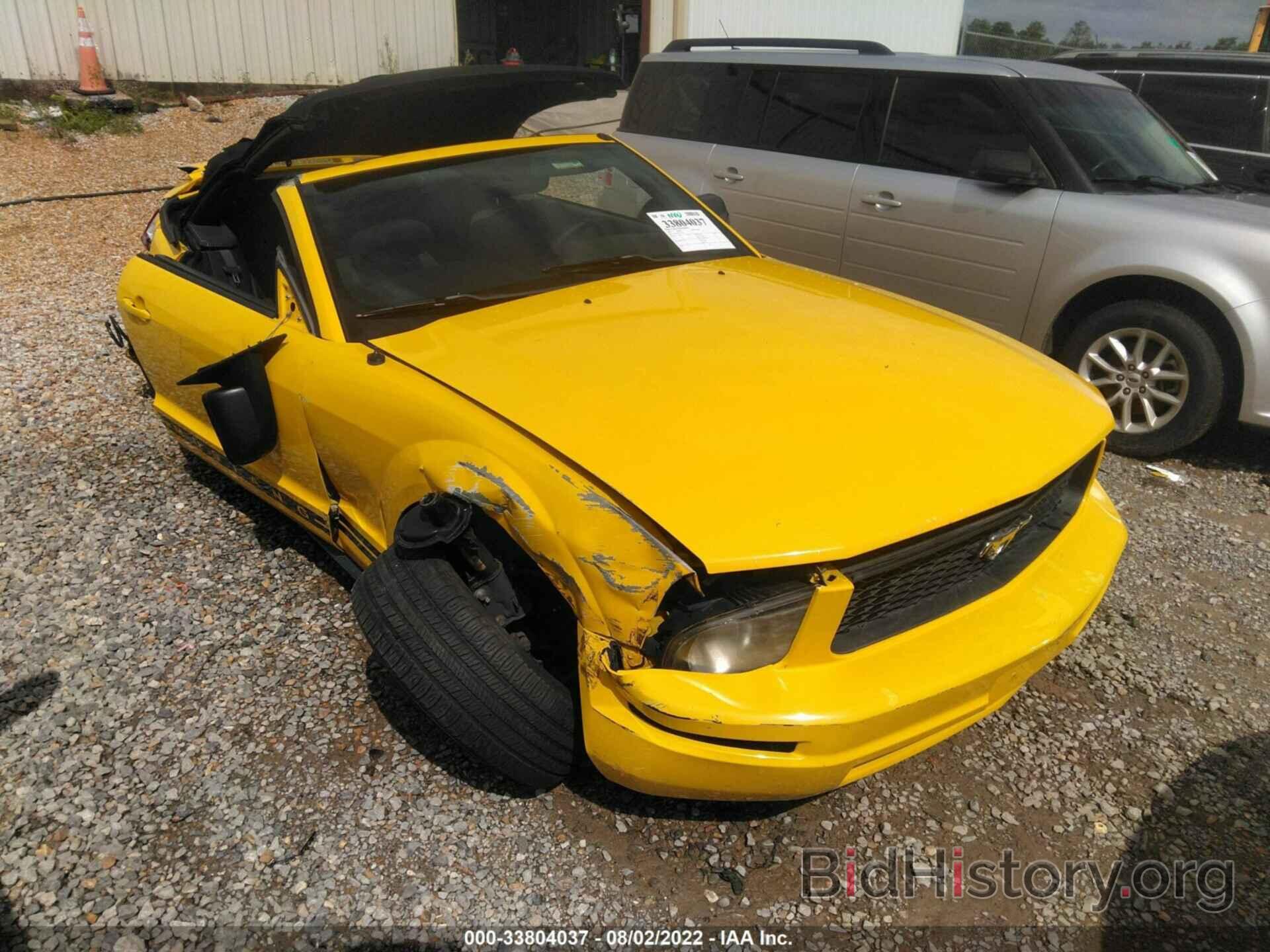 Photo 1ZVFT84N165174643 - FORD MUSTANG 2006