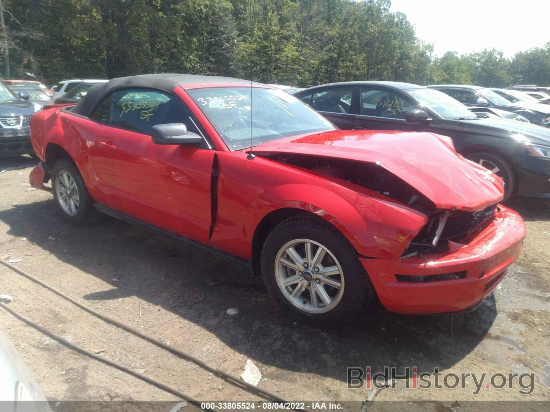 Photo 1ZVFT84N165137334 - FORD MUSTANG 2006