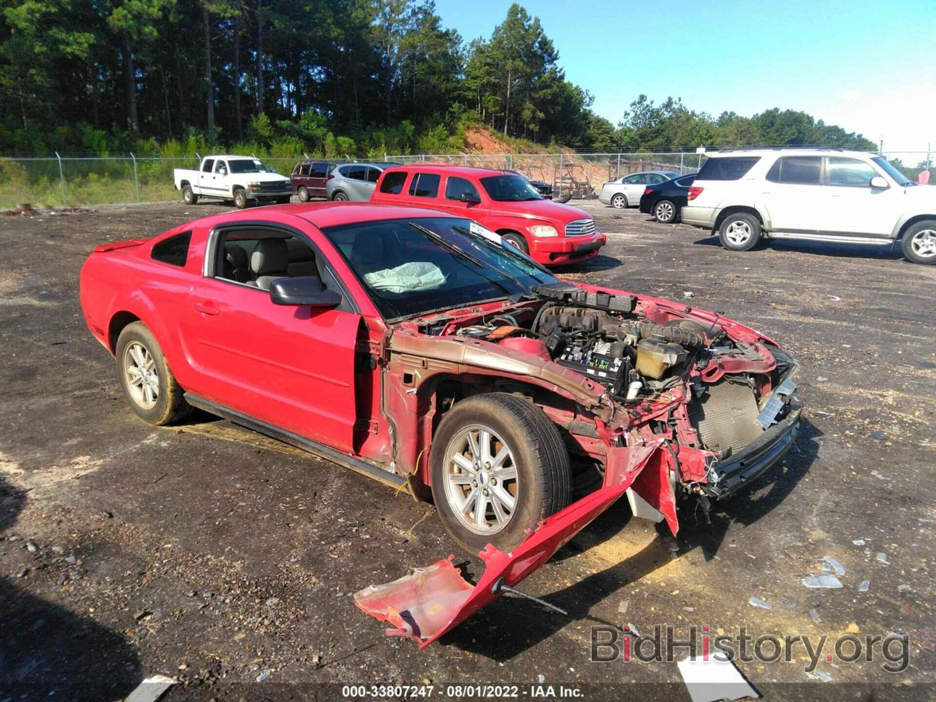 Photo 1ZVHT80N885207641 - FORD MUSTANG 2008