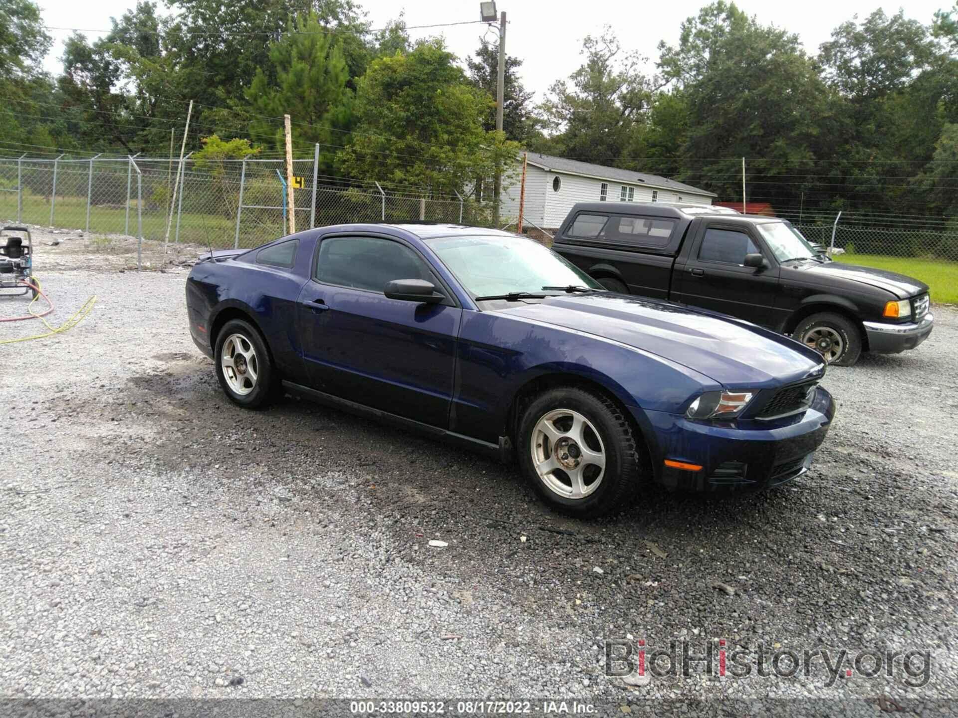 Photo 1ZVBP8AN5A5166142 - FORD MUSTANG 2010