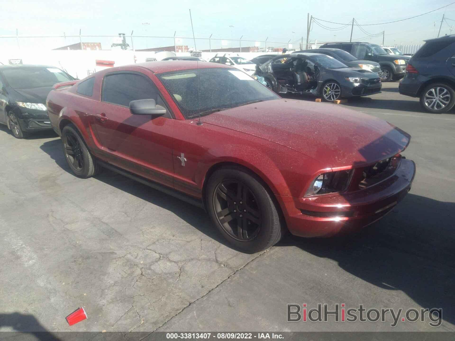 Photo 1ZVHT80NX85179101 - FORD MUSTANG 2008