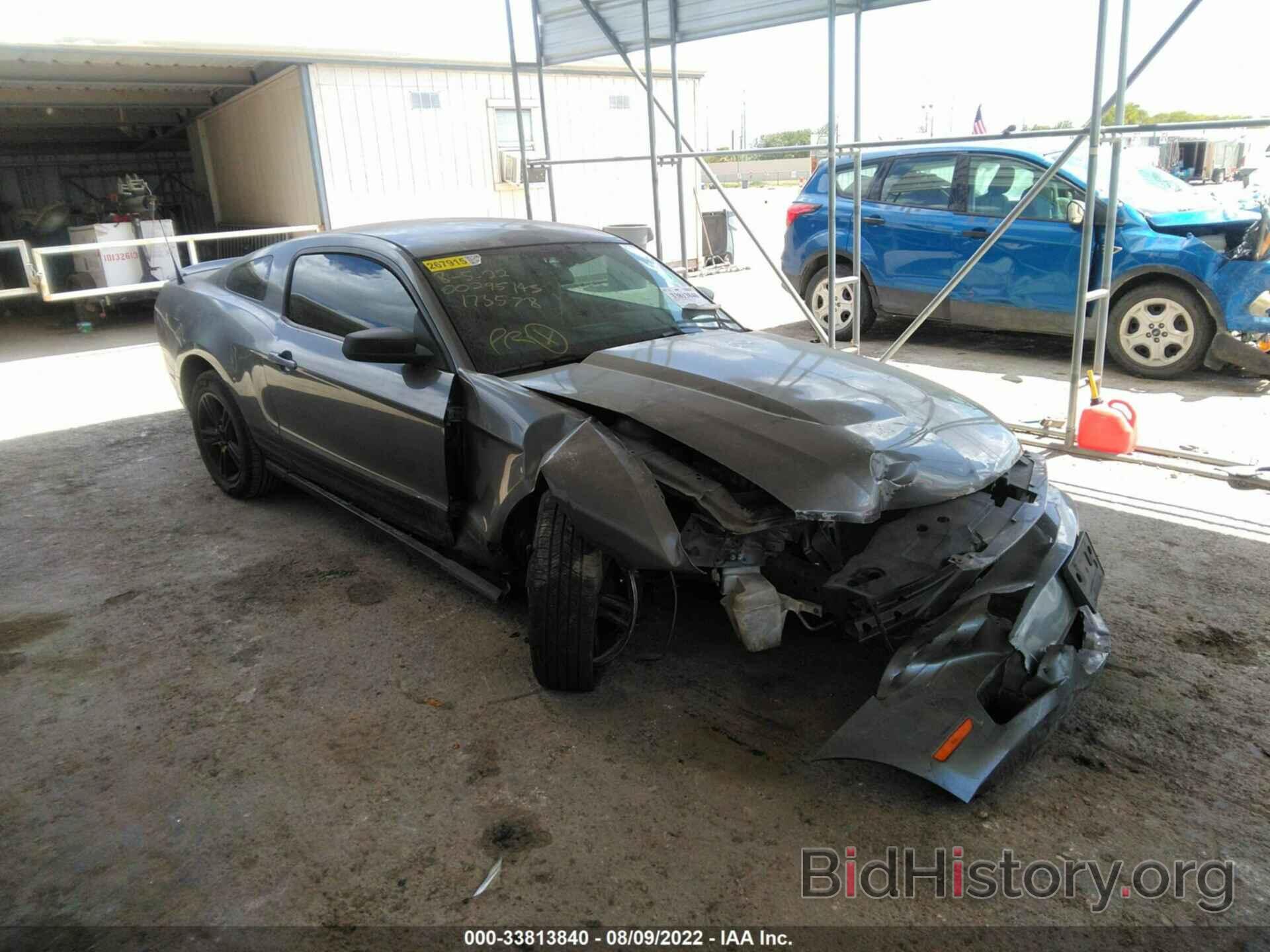 Photo 1ZVBP8AN0A5173578 - FORD MUSTANG 2010
