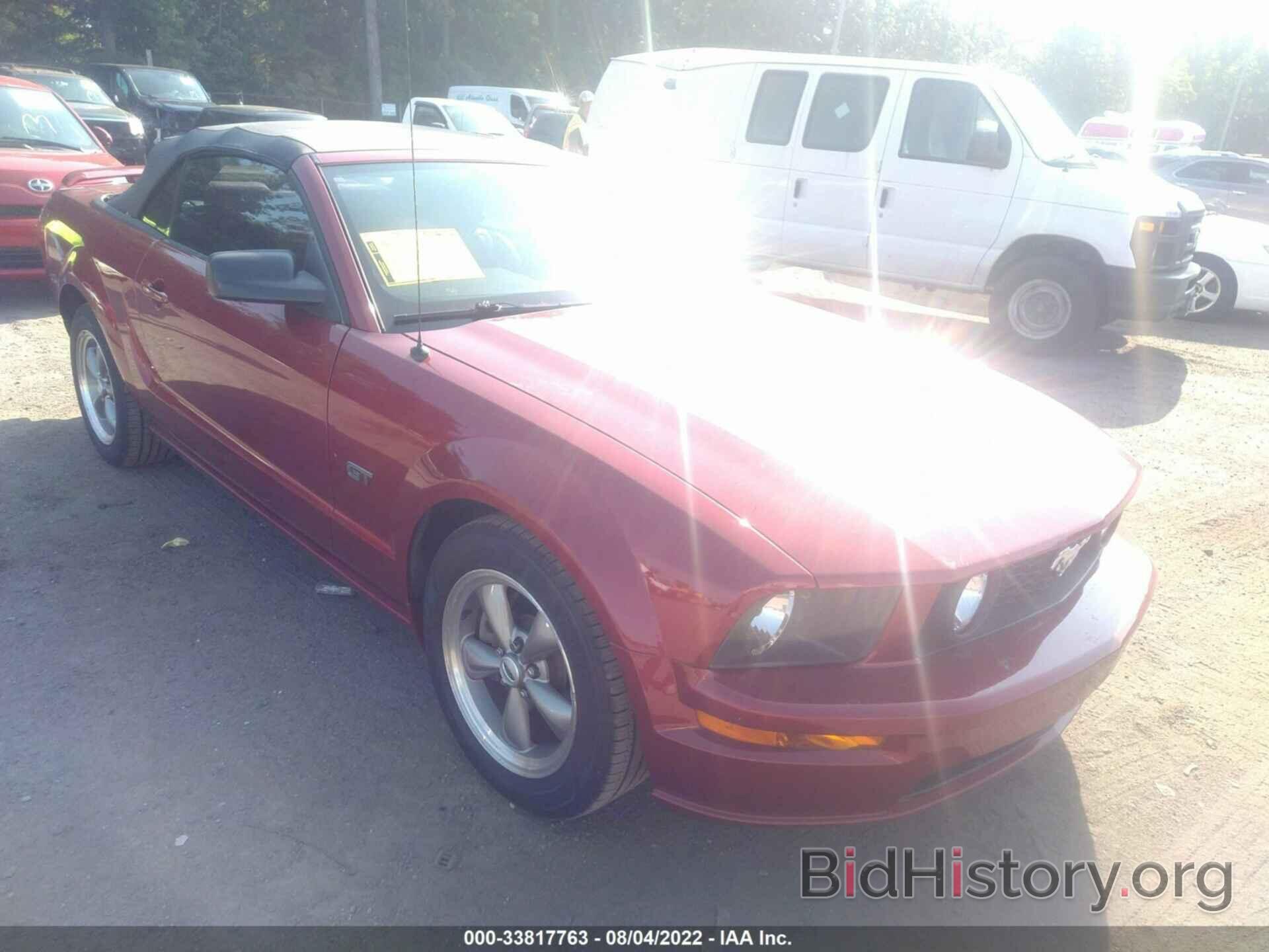 Photo 1ZVHT85H465114681 - FORD MUSTANG 2006