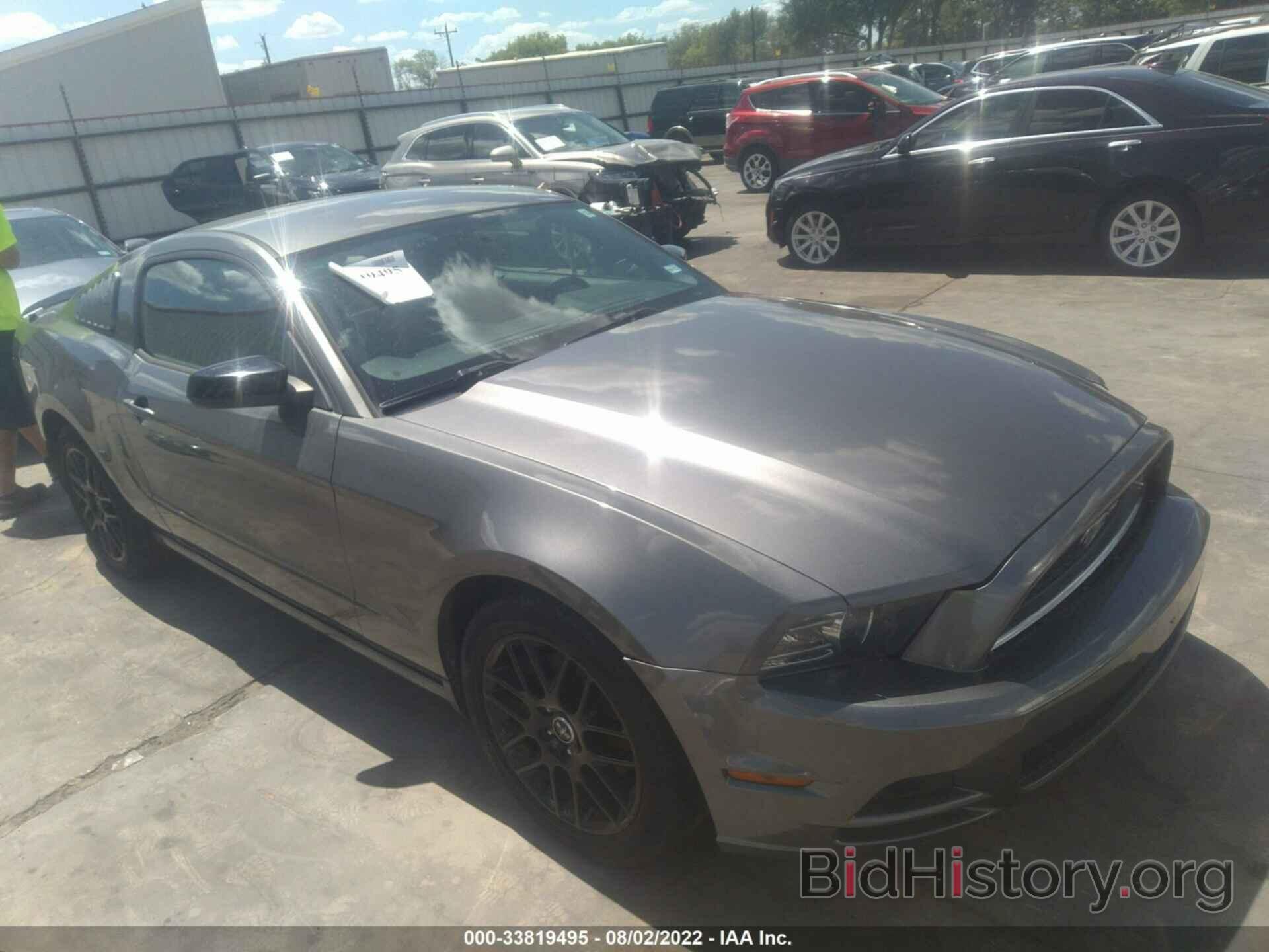 Photo 1ZVBP8AM9E5332529 - FORD MUSTANG 2014