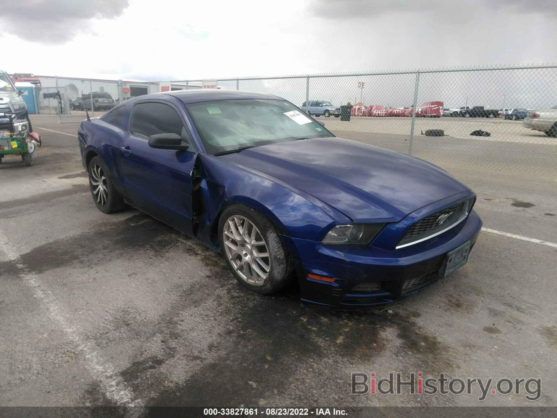 Photo 1ZVBP8AM9E5296583 - FORD MUSTANG 2014