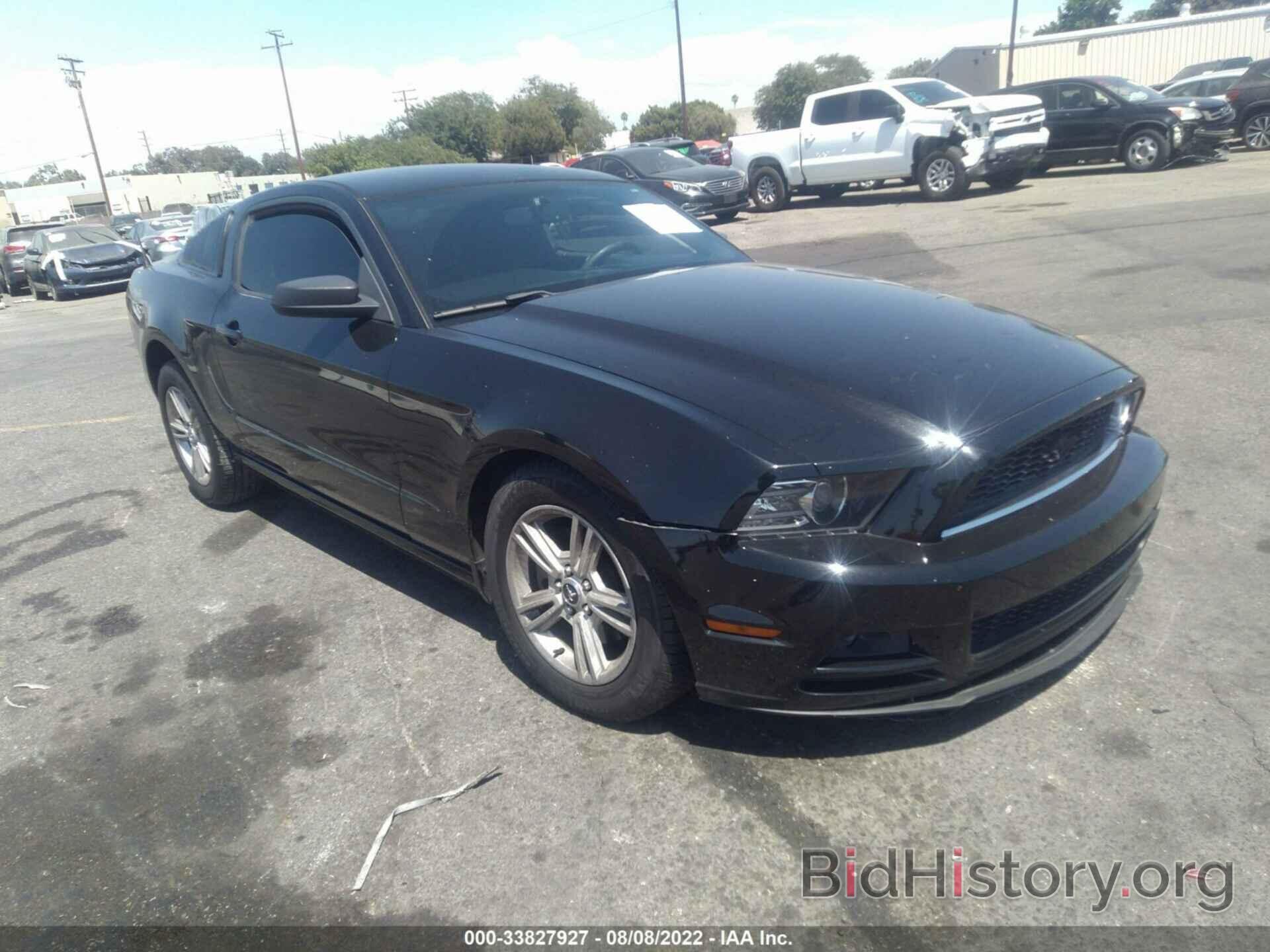 Photo 1ZVBP8AM1E5327728 - FORD MUSTANG 2014