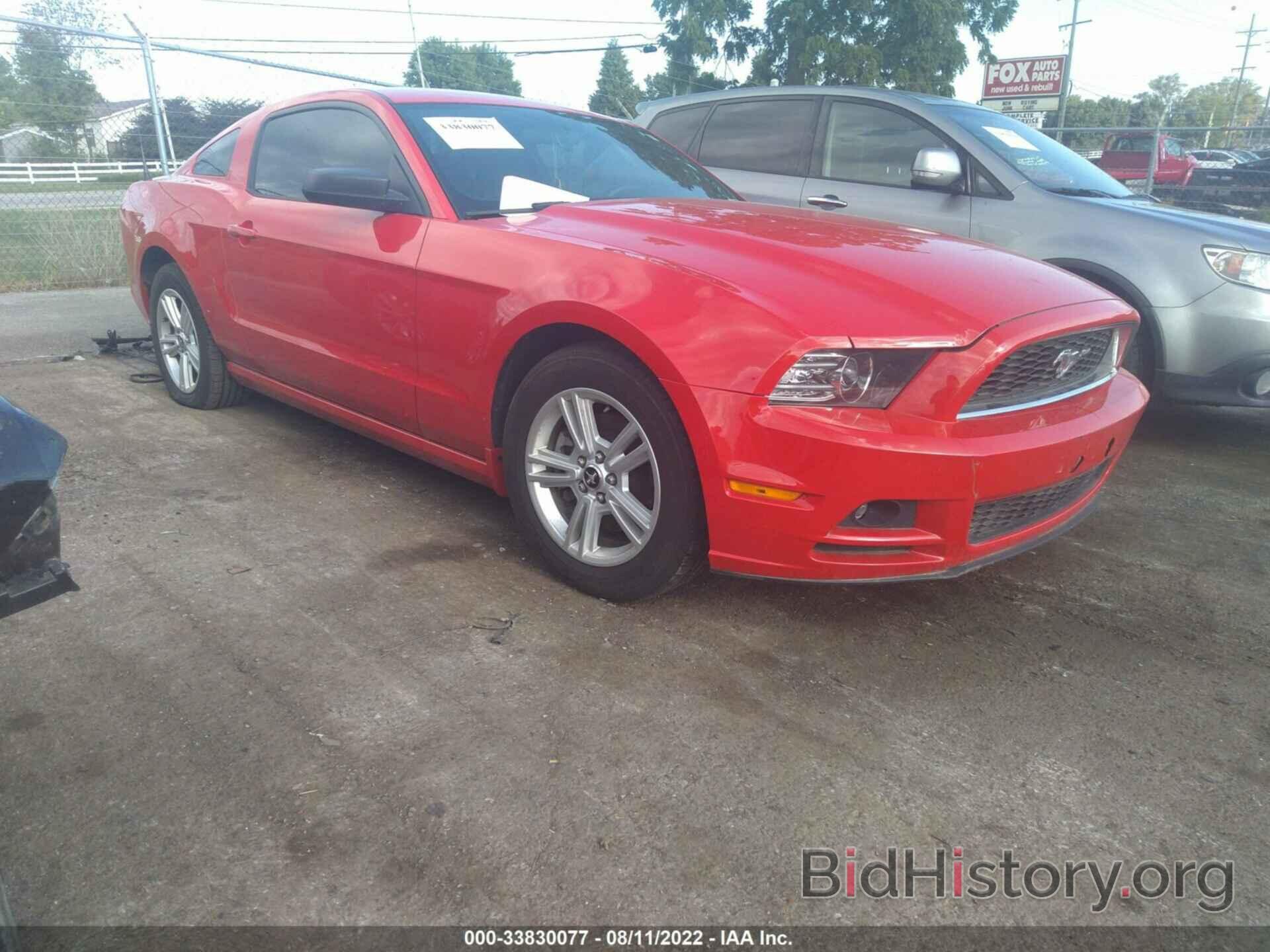Photo 1ZVBP8AM5E5227566 - FORD MUSTANG 2014