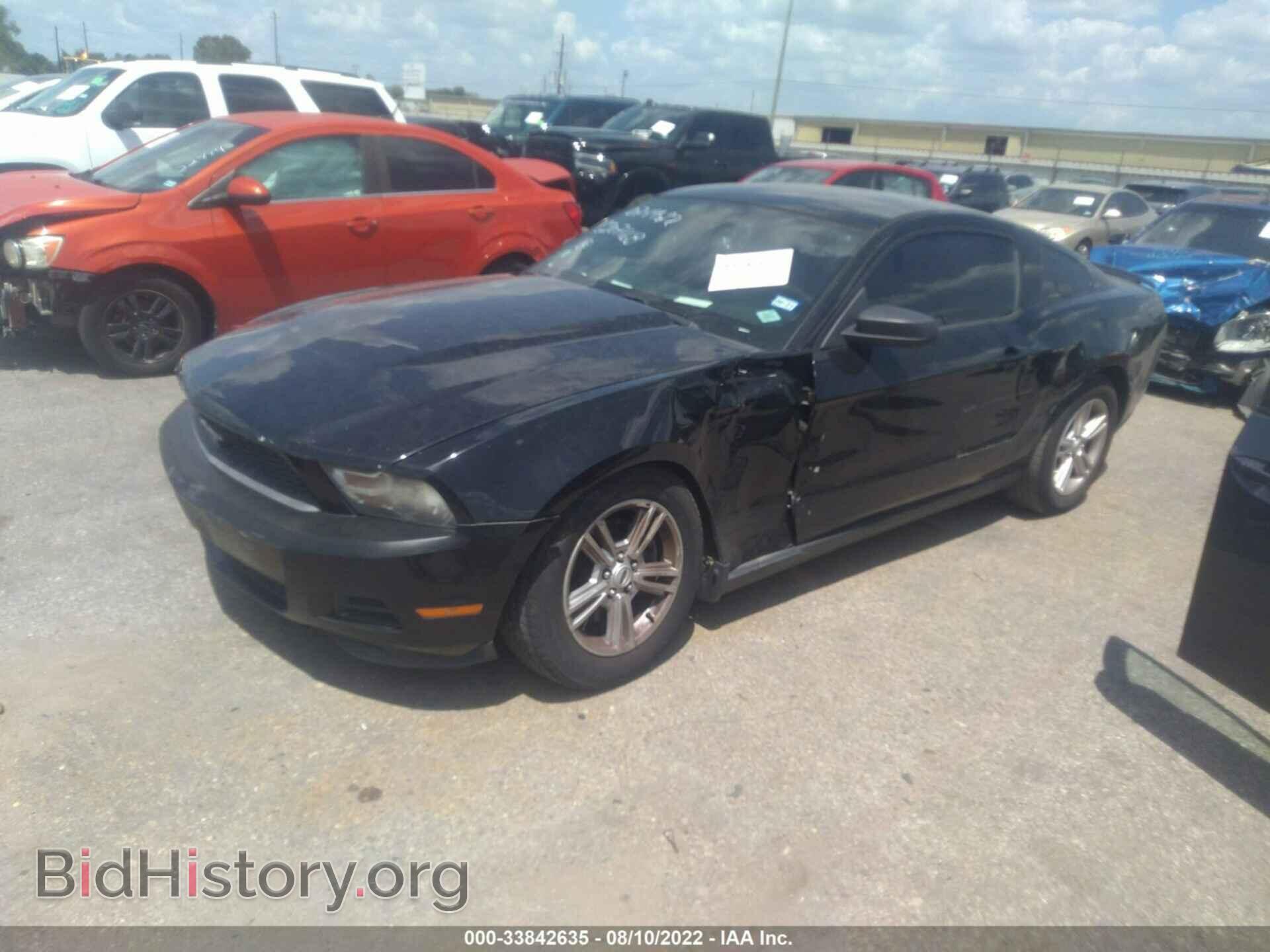 2011 FORD MUSTANG - VIN: 1ZVBP8AM6B5154834 - Фото 2