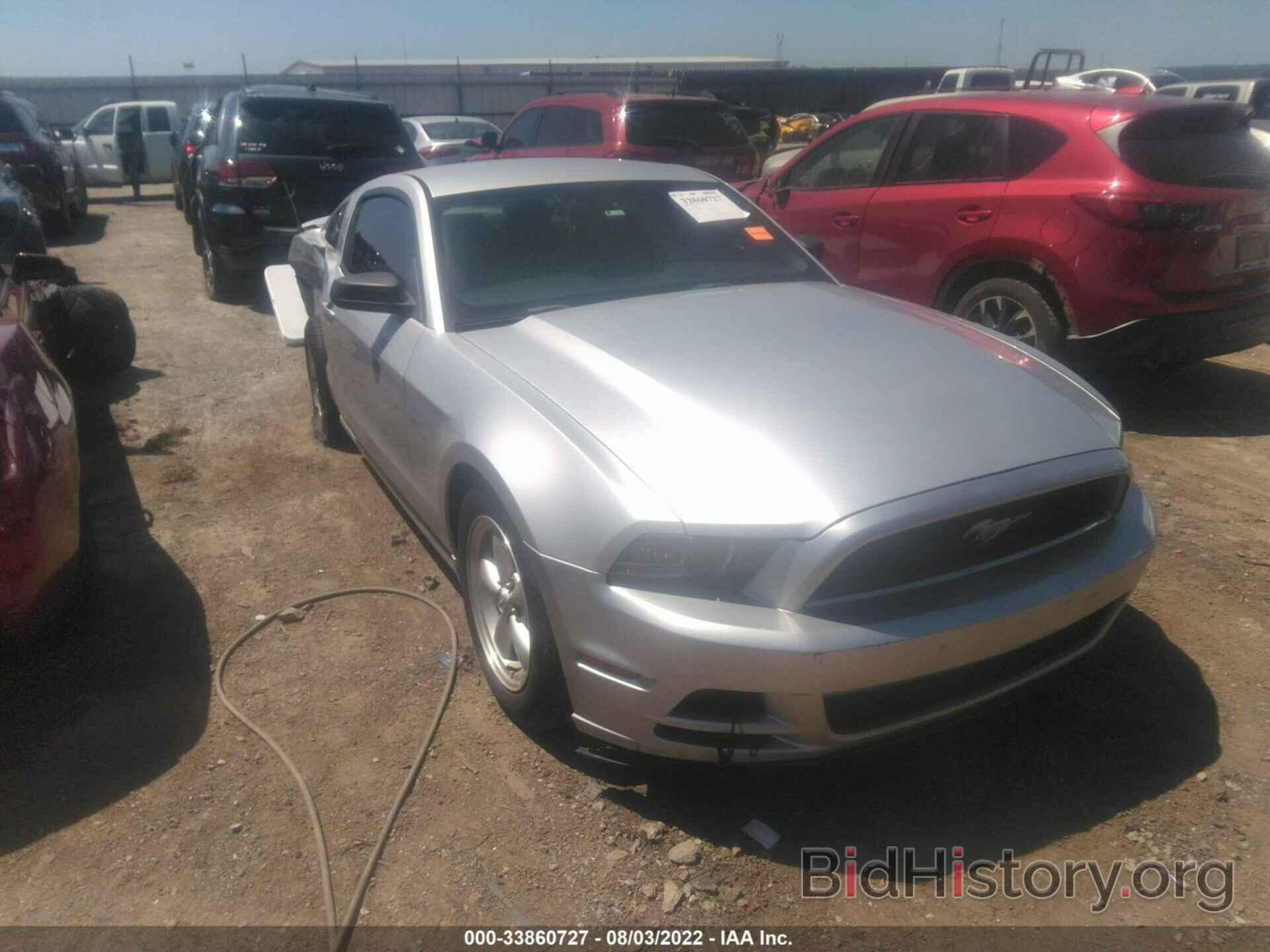 Photo 1ZVBP8AM9D5213376 - FORD MUSTANG 2013