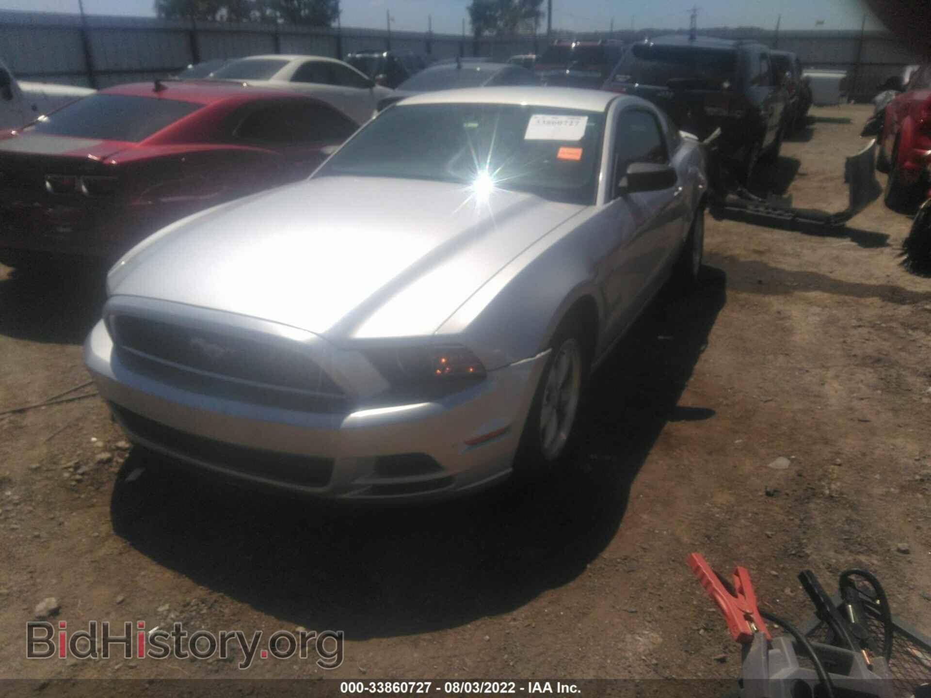 2013 FORD MUSTANG - VIN: 1ZVBP8AM9D5213376 - Фото 2