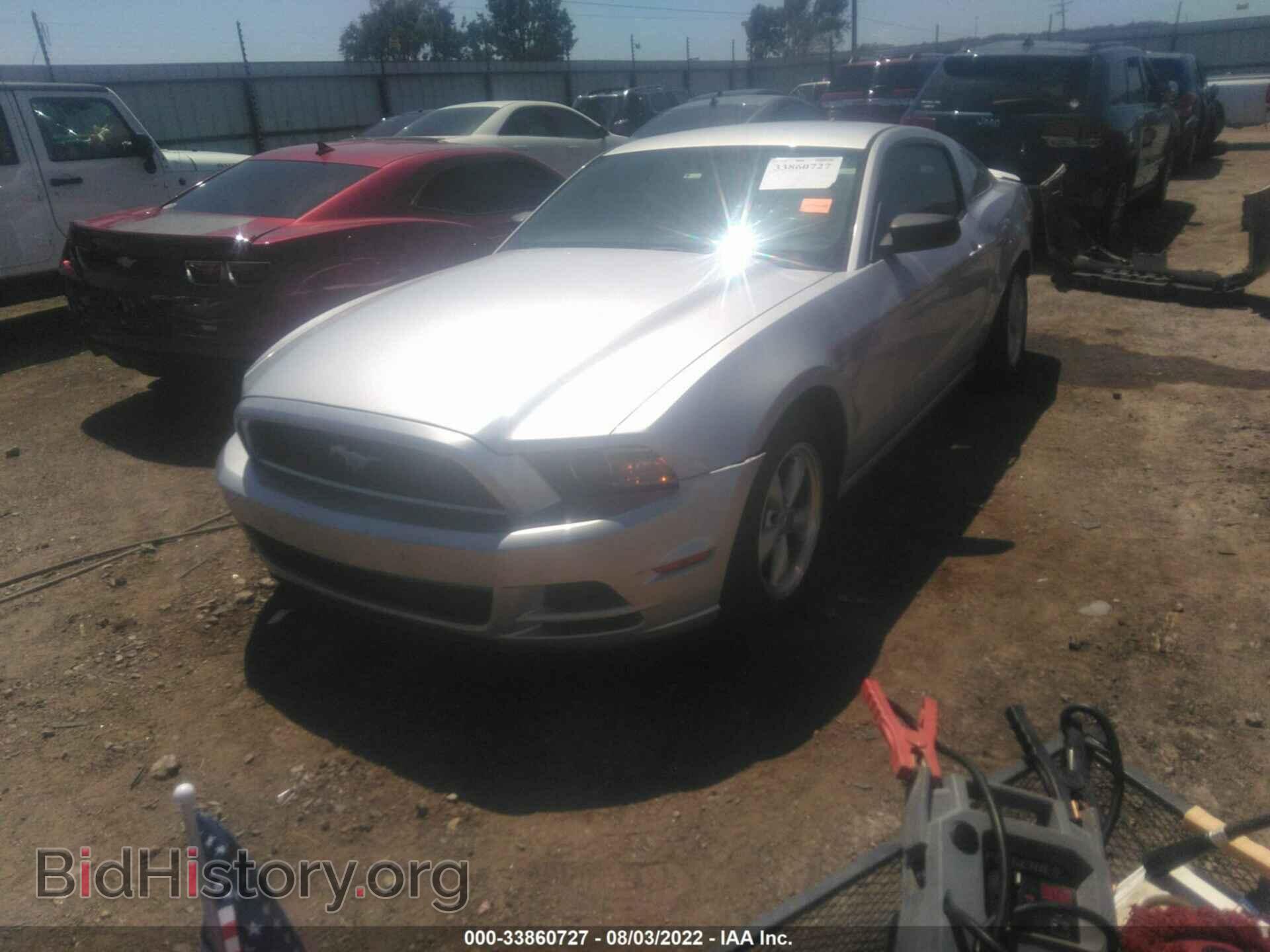 2013 FORD MUSTANG - VIN: 1ZVBP8AM9D5213376 - Фото 3