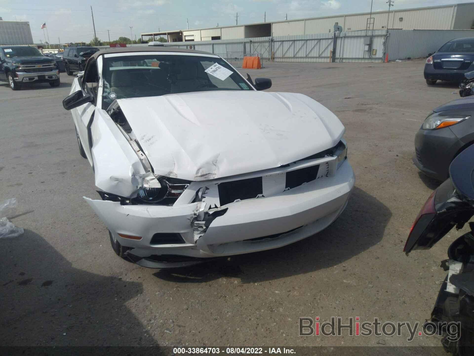 Photo 1ZVBP8EN5A5167673 - FORD MUSTANG 2010