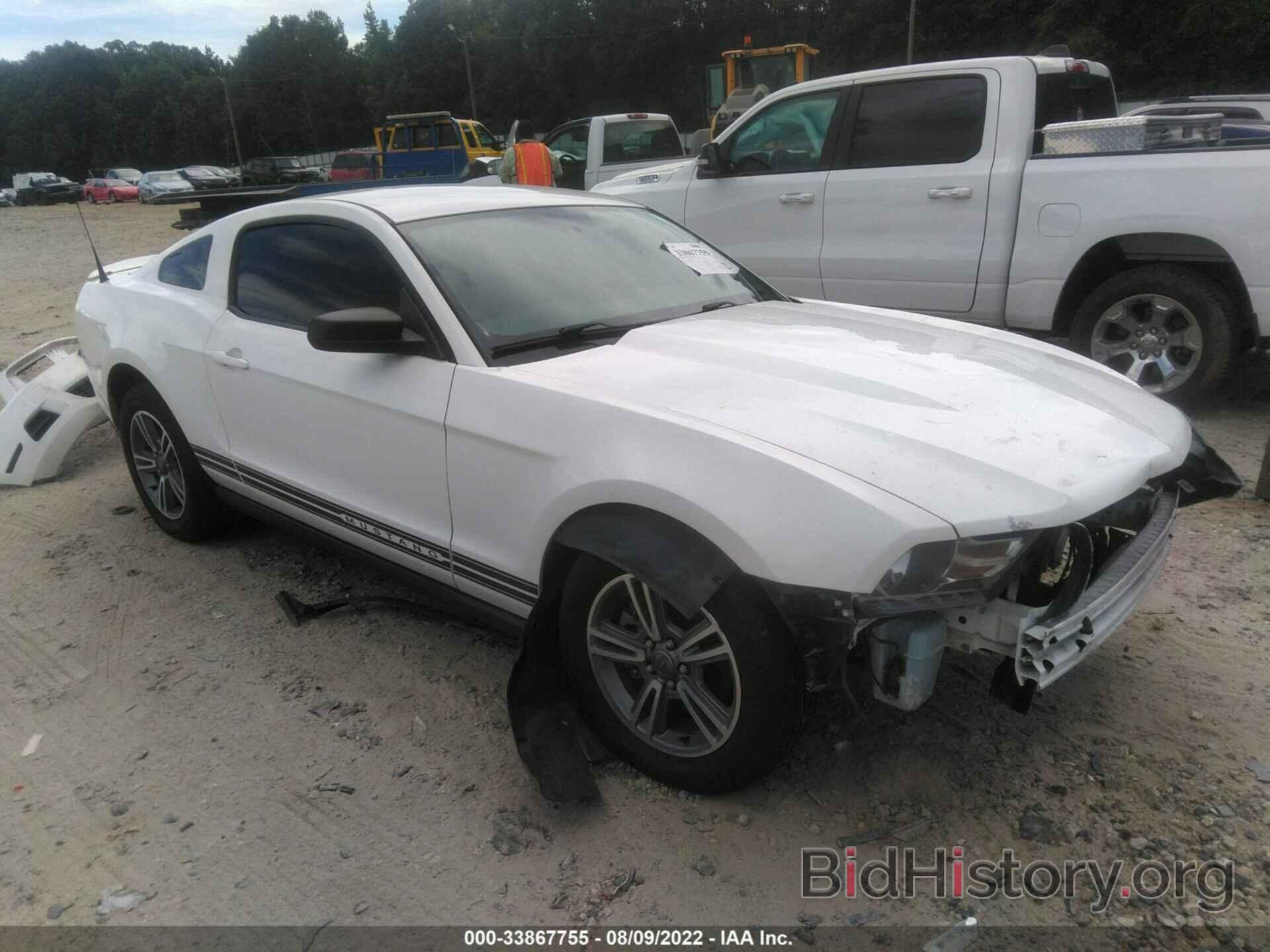 Photo 1ZVBP8AM0C5226905 - FORD MUSTANG 2012