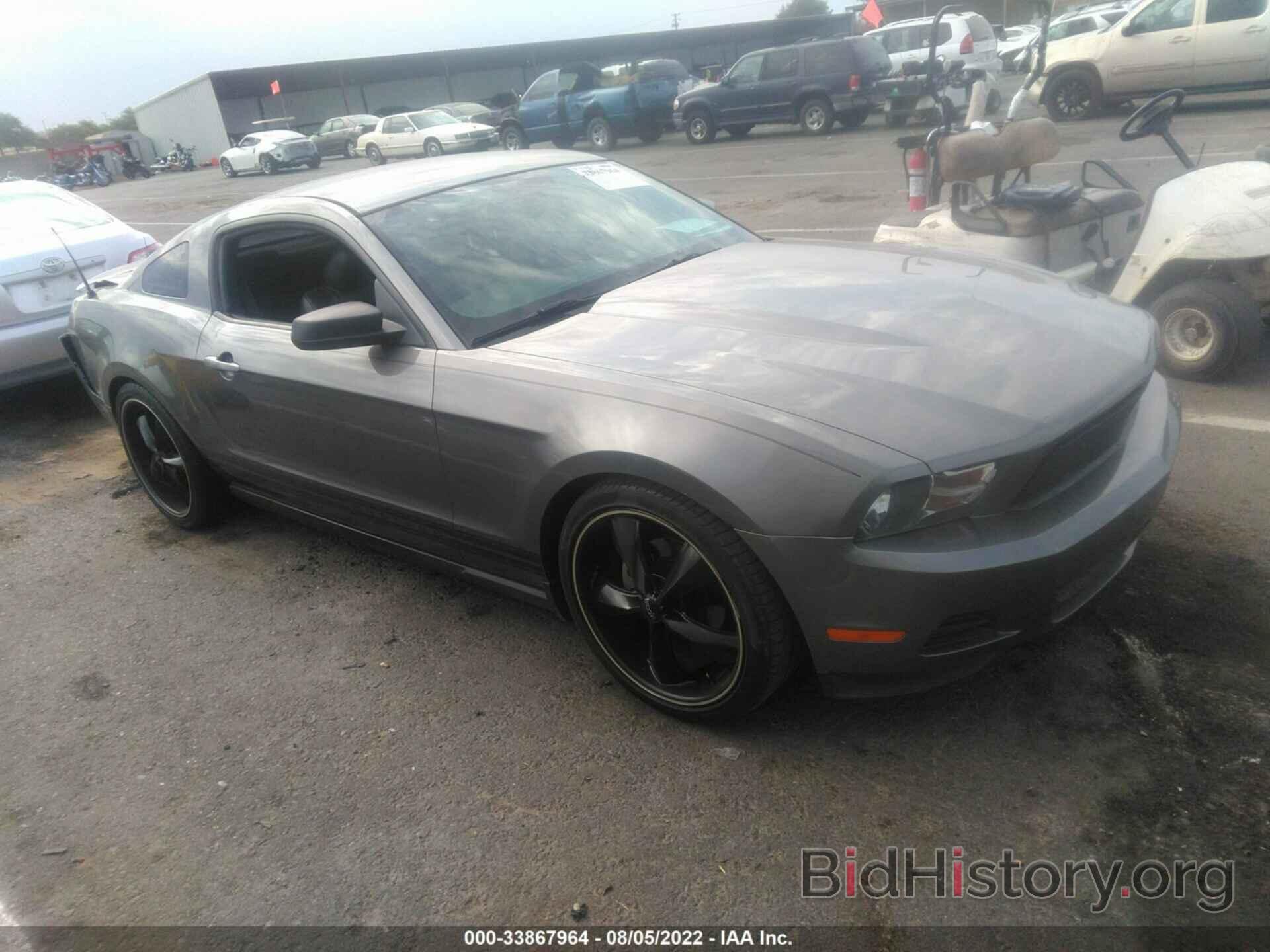 Photo 1ZVBP8AN0A5101991 - FORD MUSTANG 2010