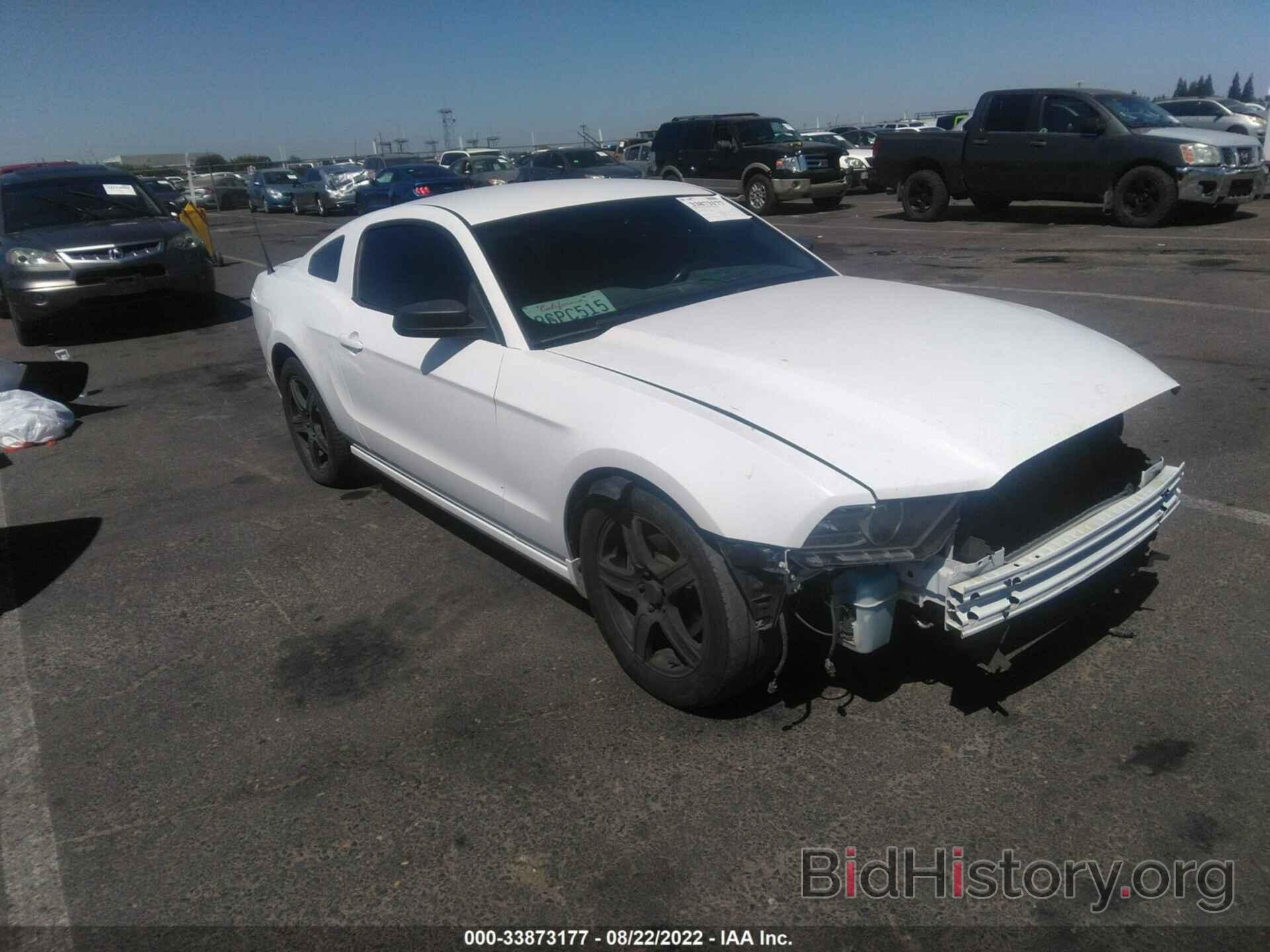 Photo 1ZVBP8AM2E5250545 - FORD MUSTANG 2014
