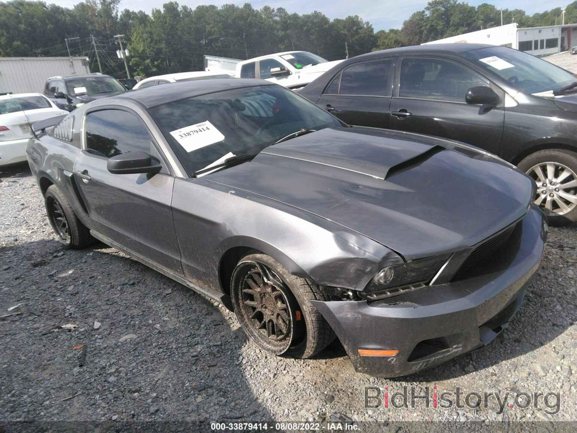 Photo 1ZVBP8AN6A5145123 - FORD MUSTANG 2010