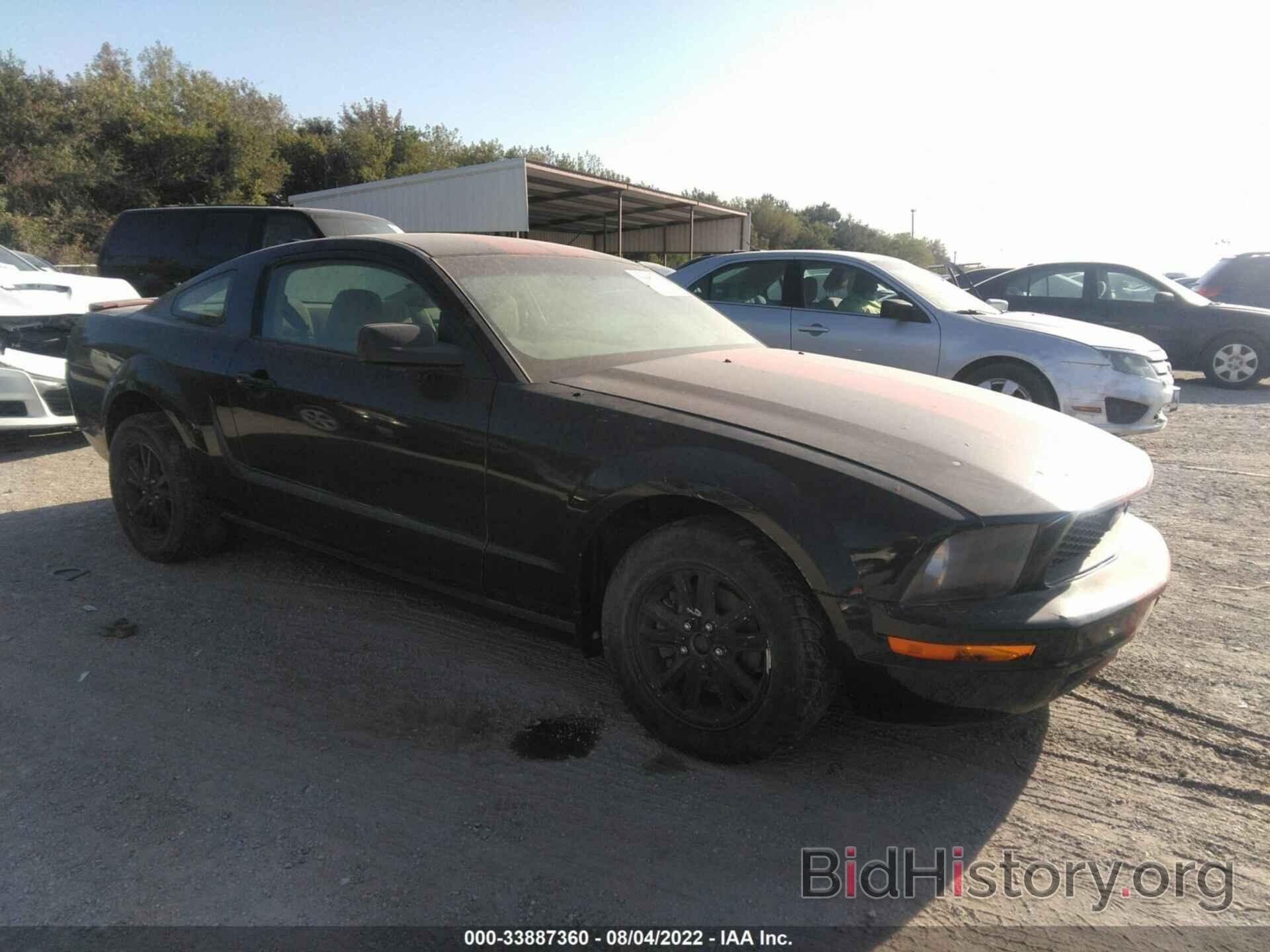 Photo 1ZVHT80N385145324 - FORD MUSTANG 2008