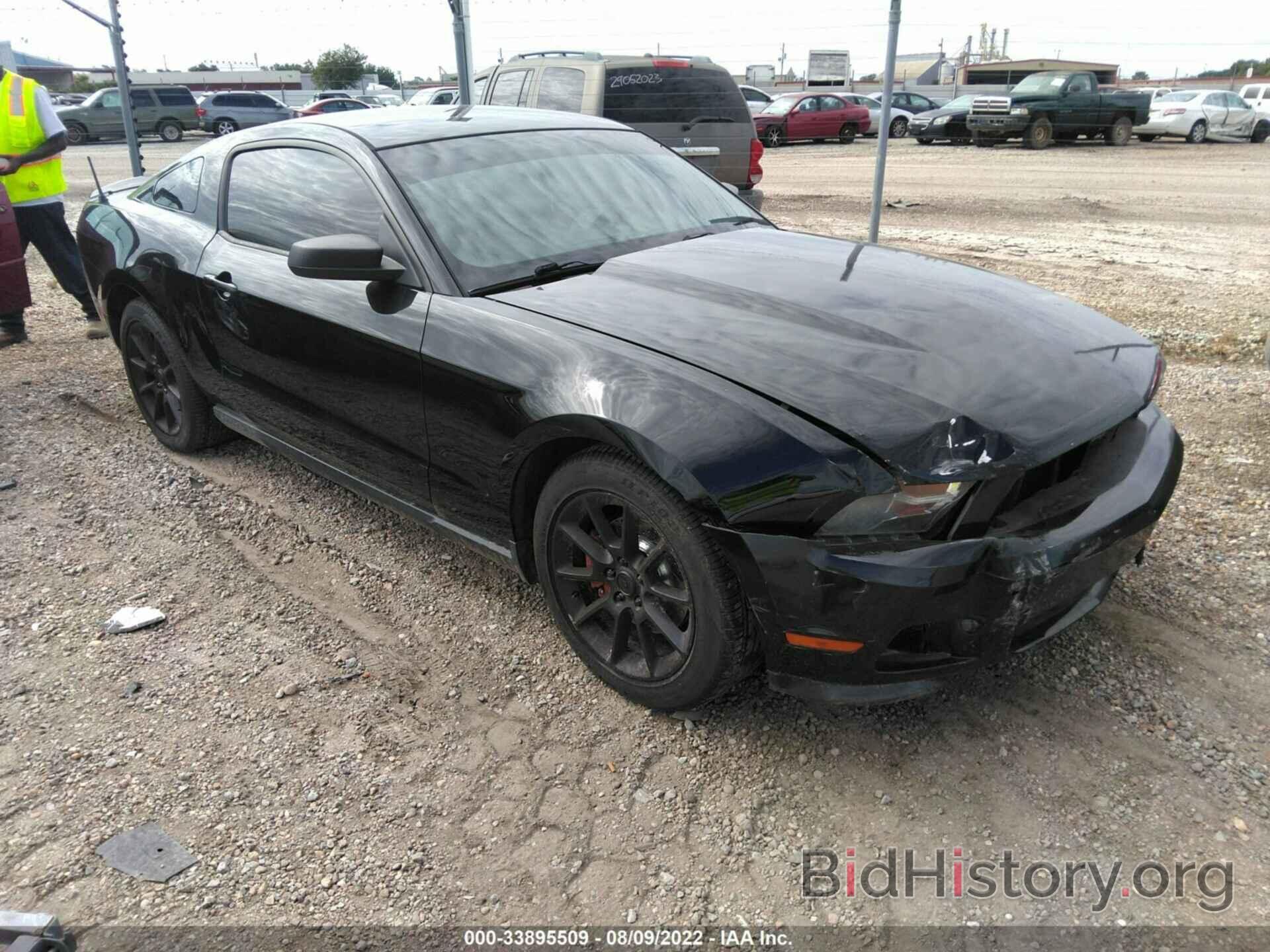 Photo 1ZVBP8AMXC5251908 - FORD MUSTANG 2012