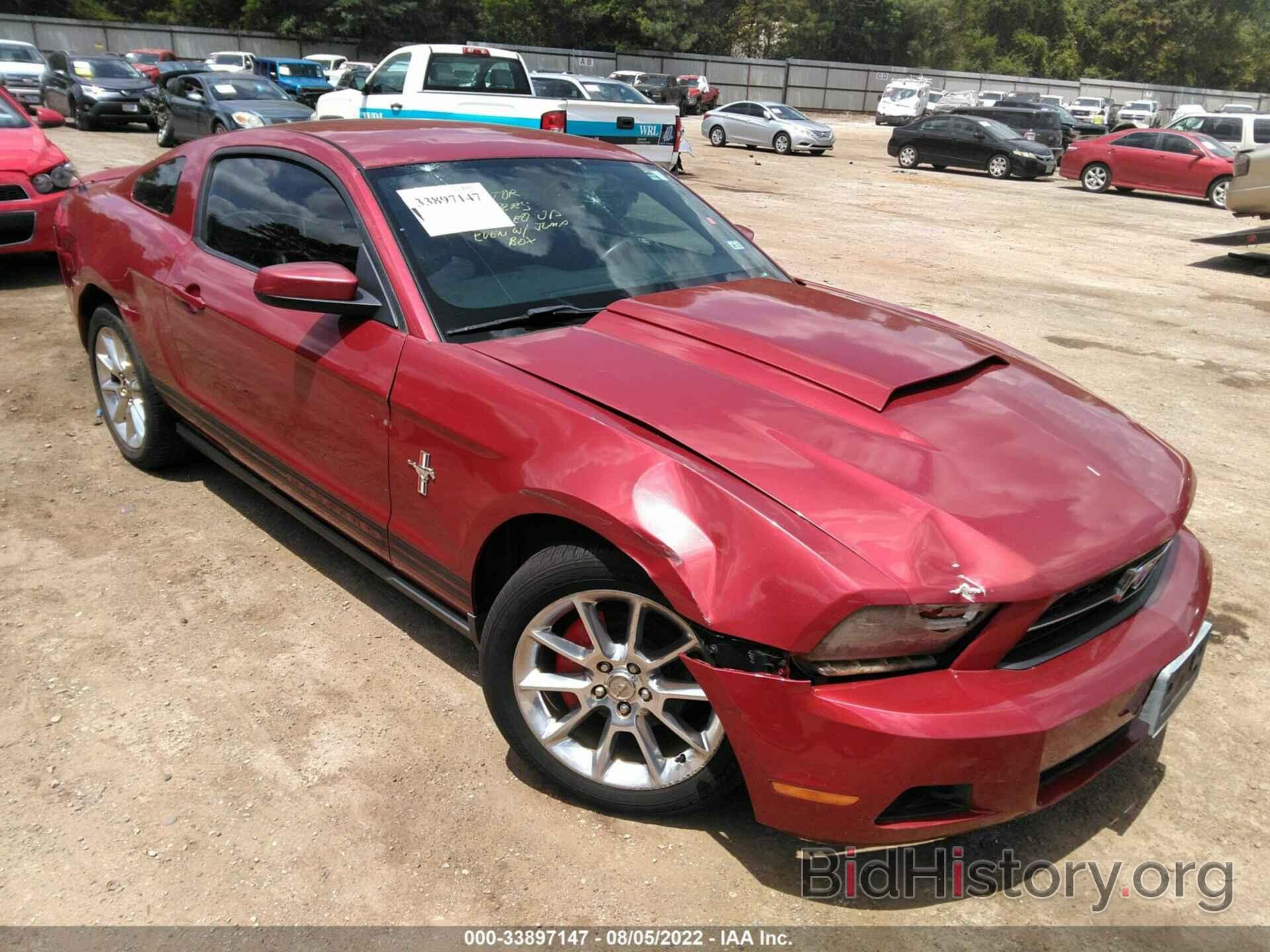 Photo 1ZVBP8AN1A5156935 - FORD MUSTANG 2010