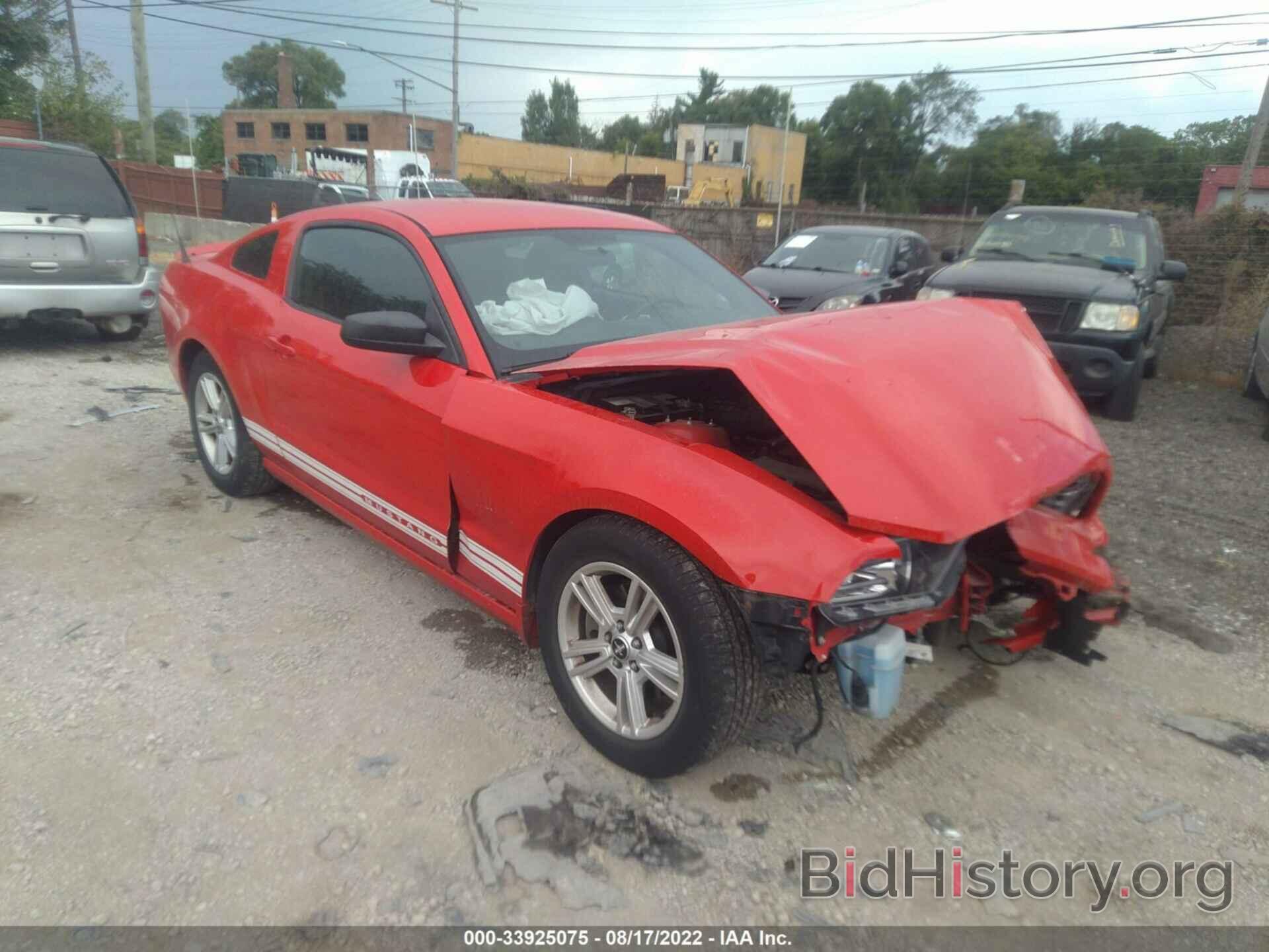 Photo 1ZVBP8AM1D5274432 - FORD MUSTANG 2013